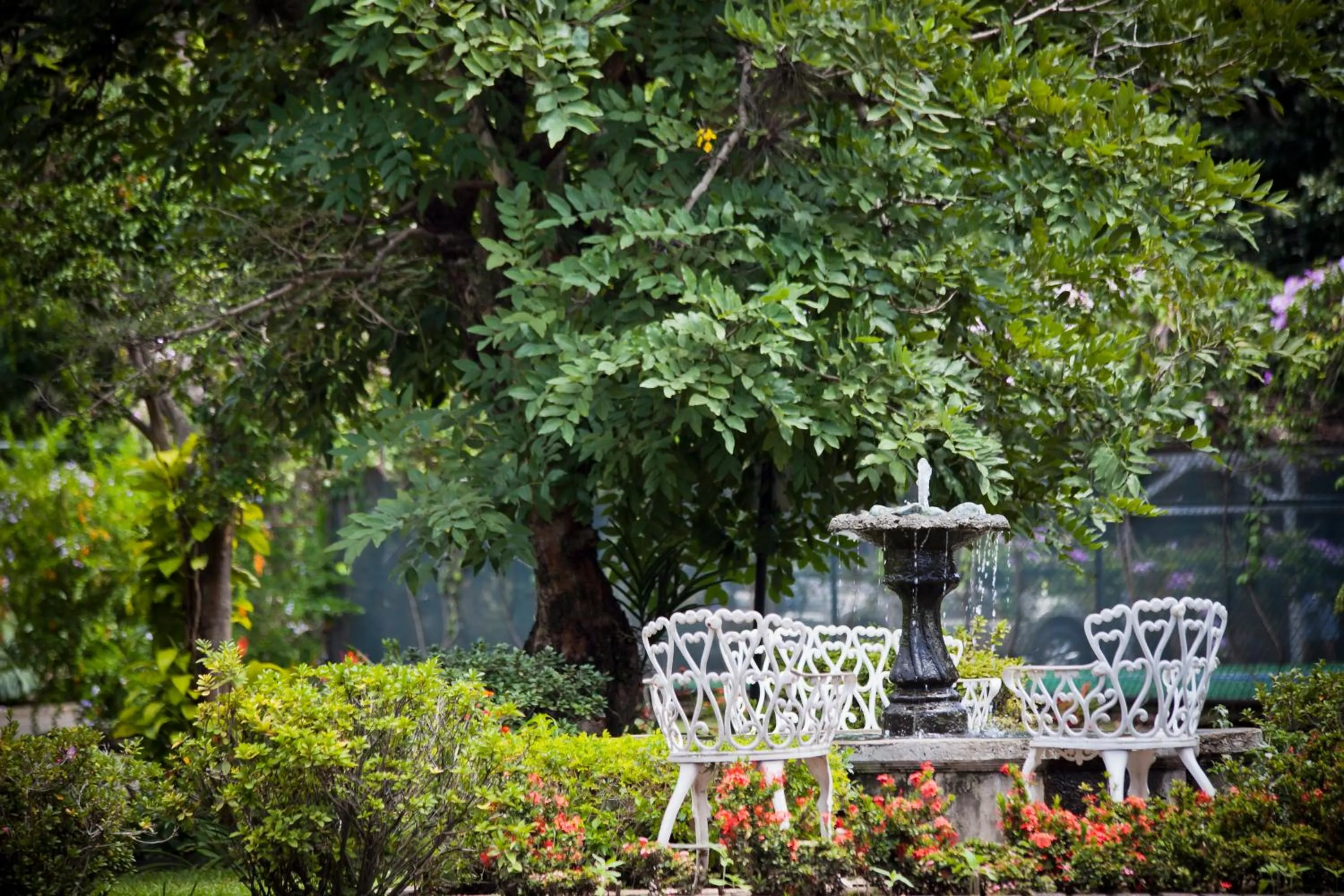 Garden in El Rodeo Estancia Boutique Hotel & Steakhouse