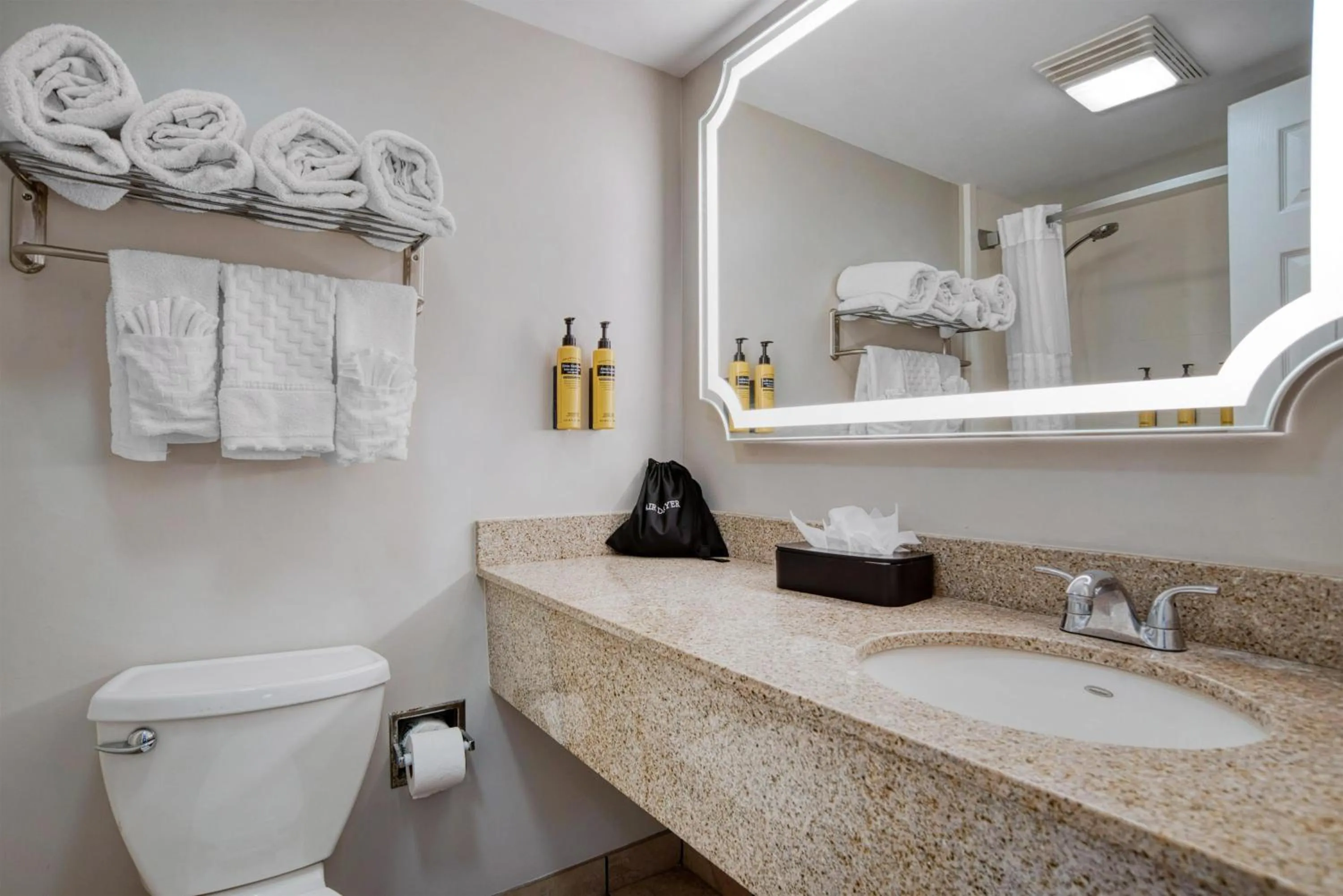 Bathroom in Best Western Plus French Quarter Courtyard Hotel