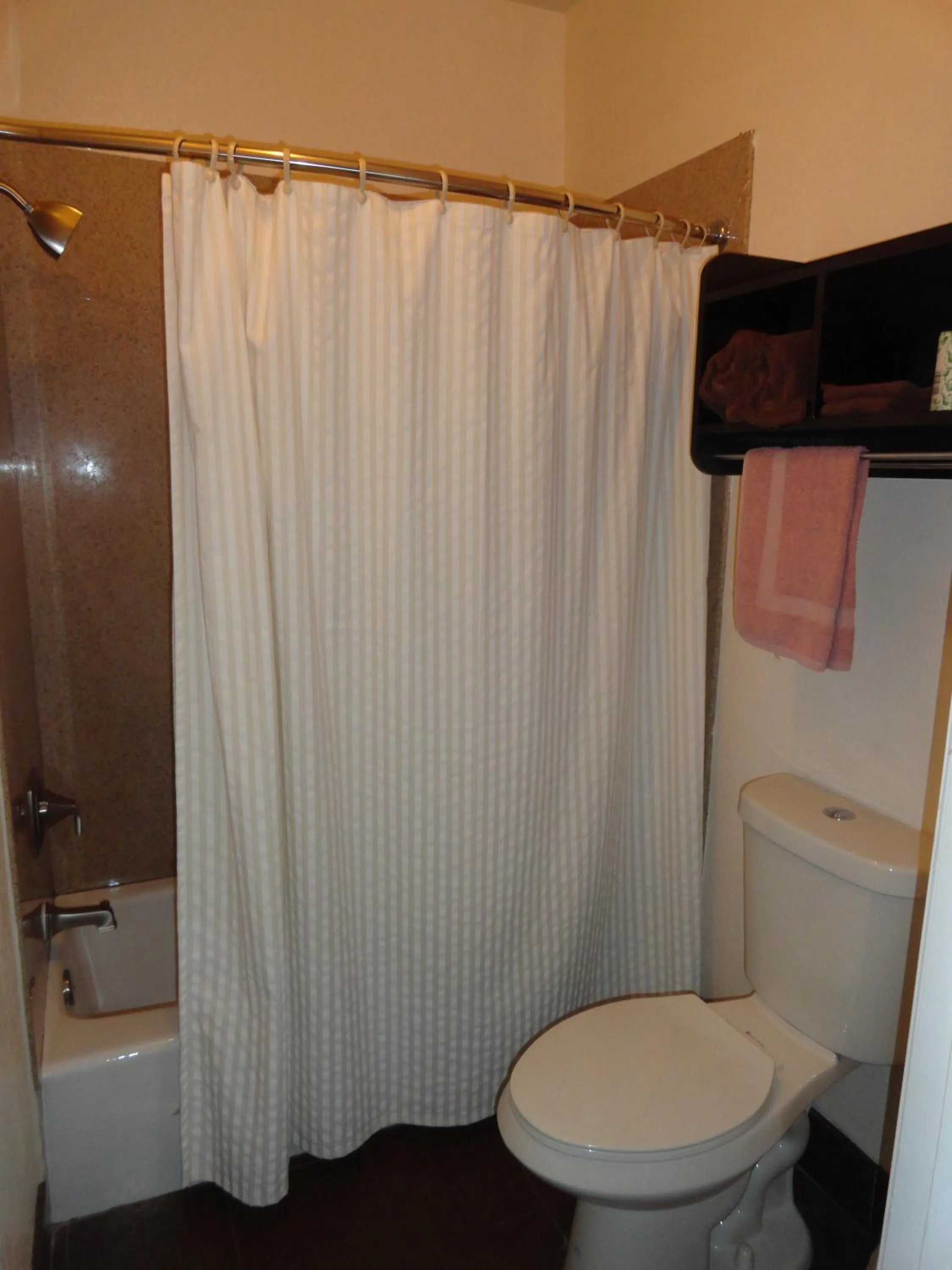 Shower in Americas Best Value Inn - Brownsville