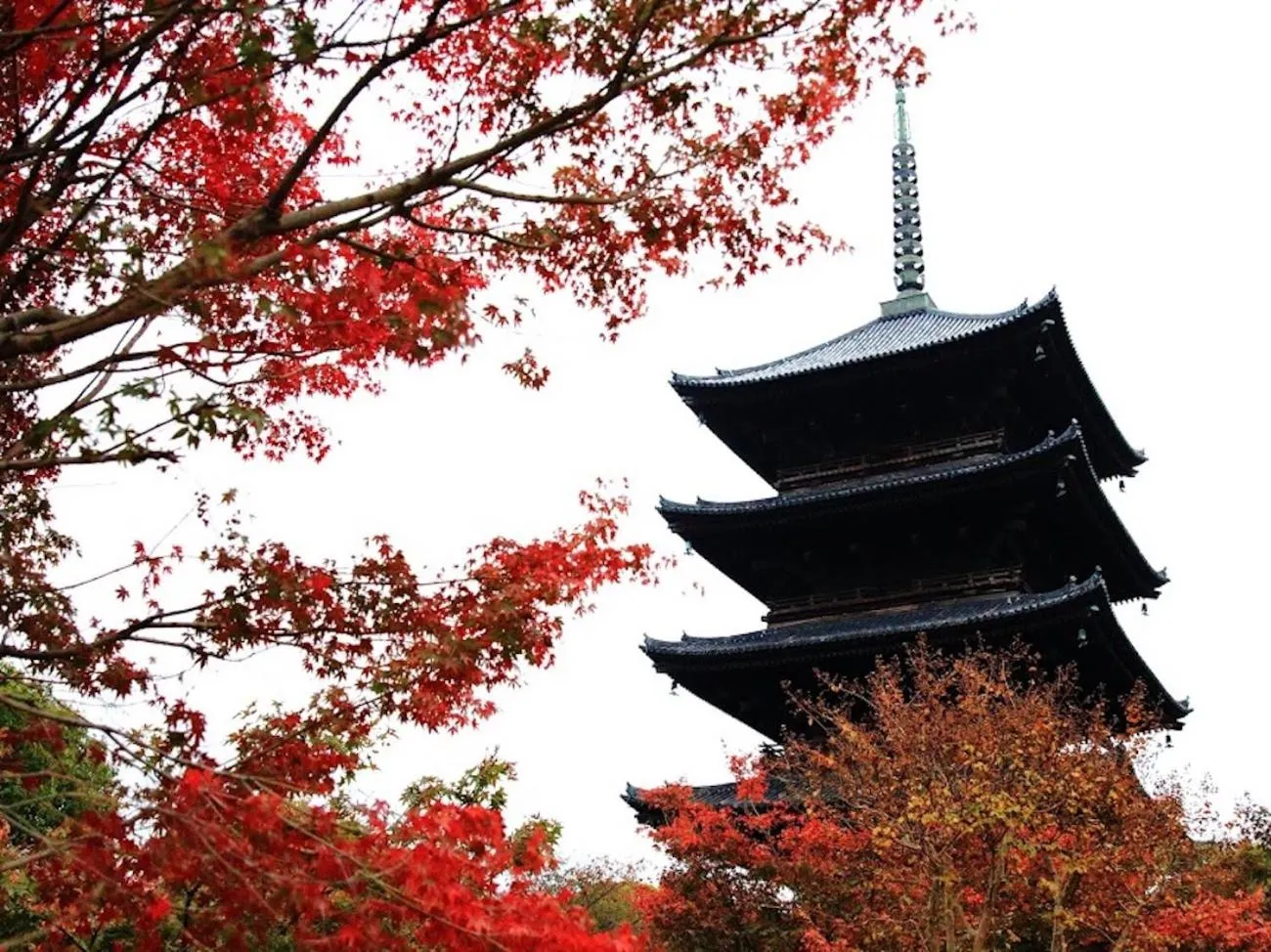 Nearby landmark in Kamon Inn Hieijocho