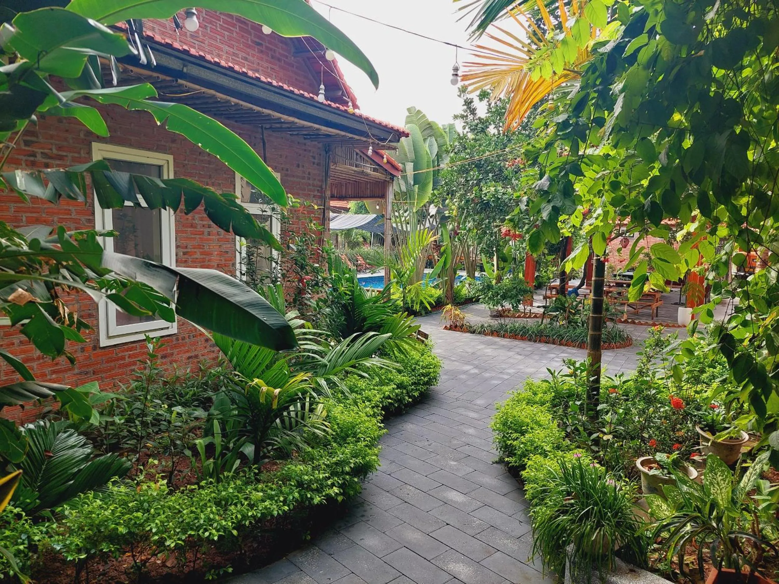 Garden view in Ninh Binh Mountain Side Homestay & Cafe