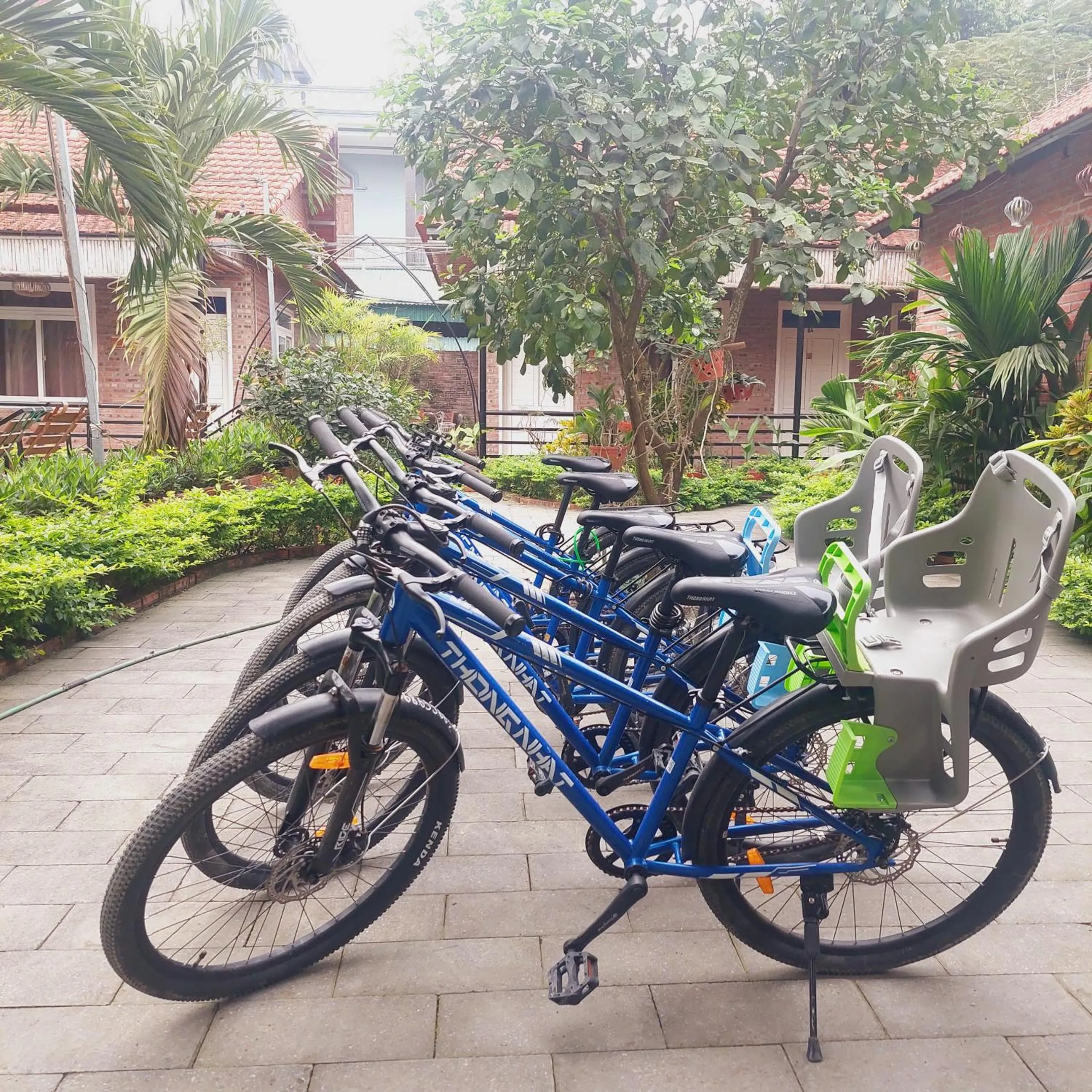 Cycling in Ninh Binh Mountain Side Homestay & Cafe