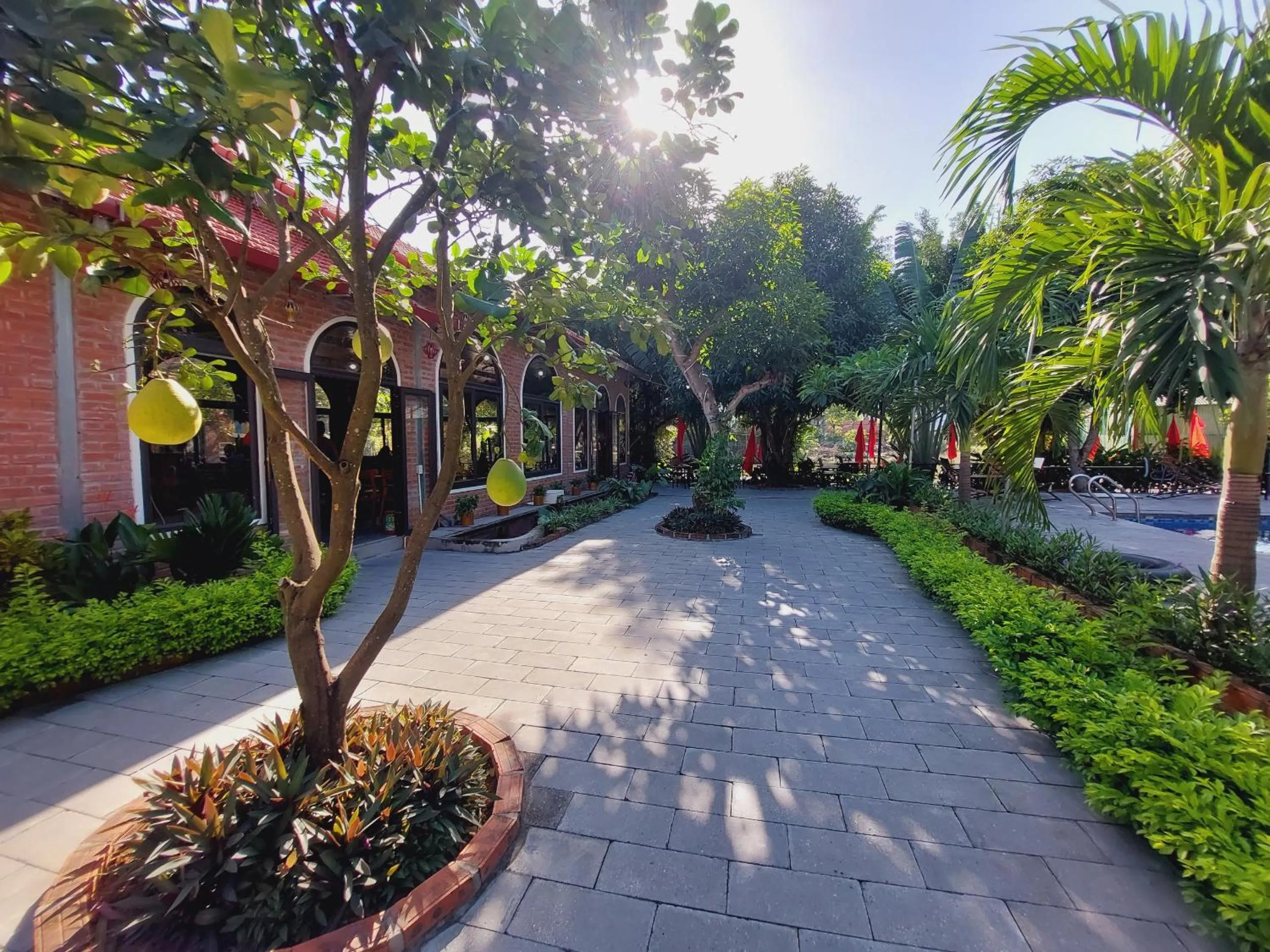 Garden in Ninh Binh Mountain Side Homestay & Cafe