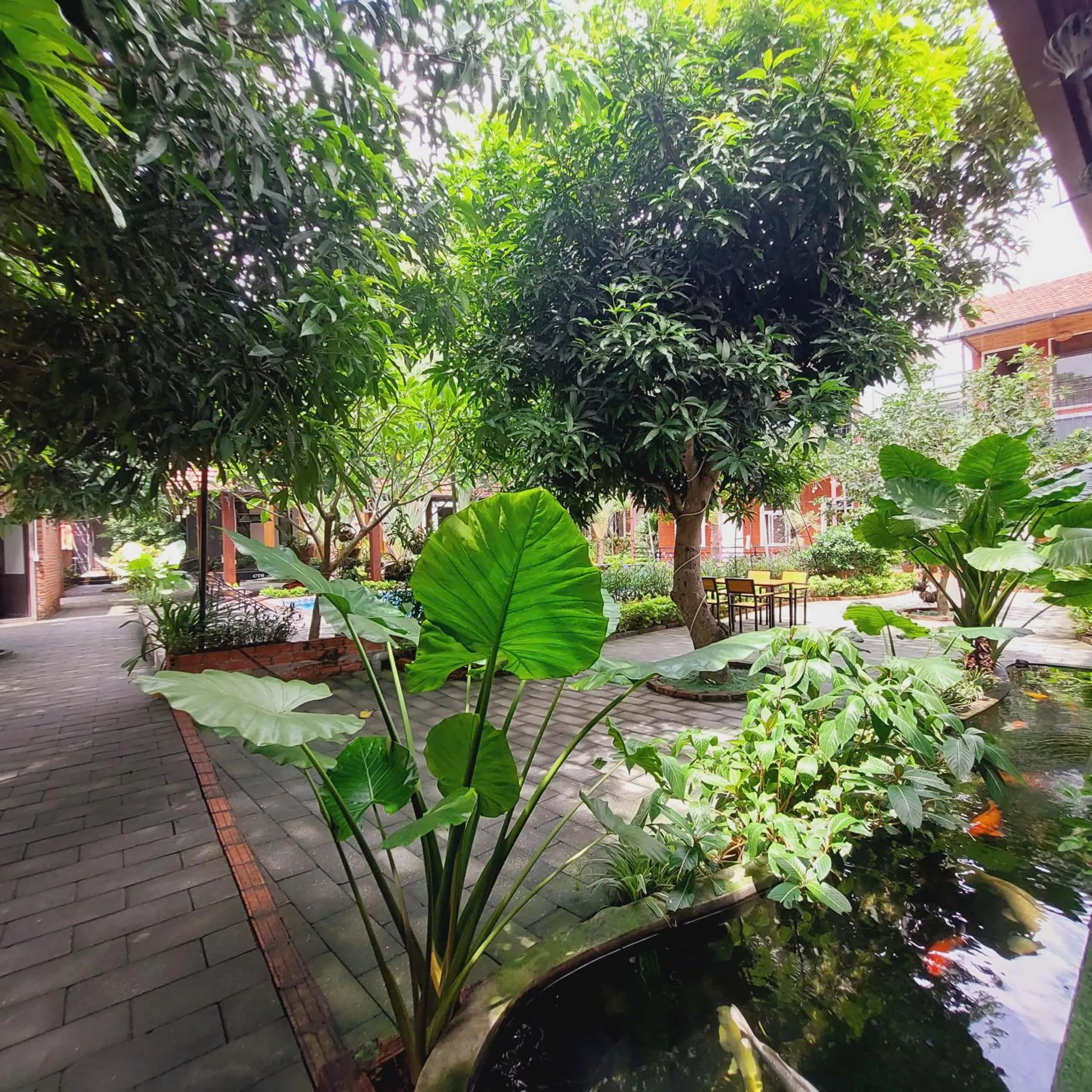 Garden in Ninh Binh Mountain Side Homestay & Cafe