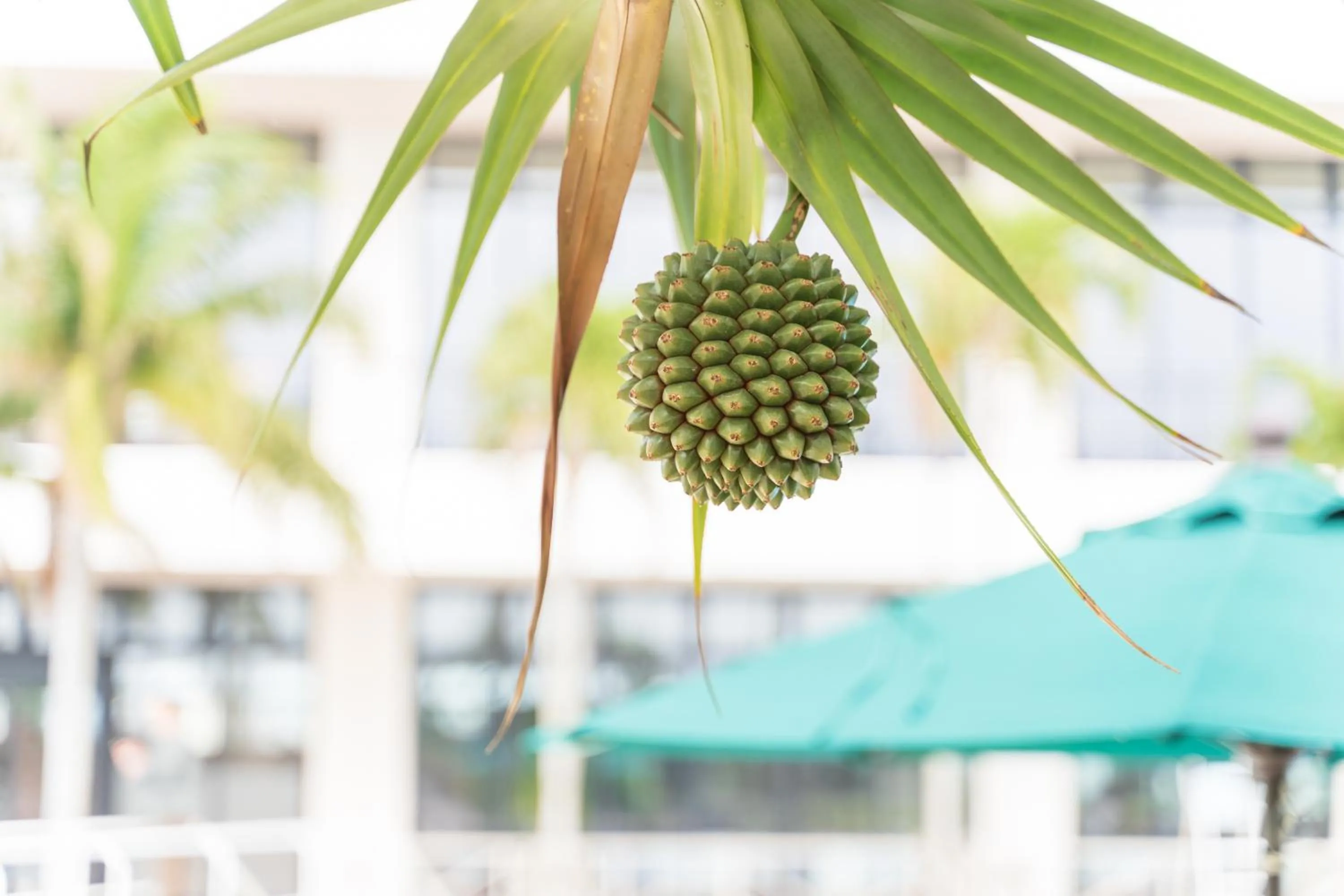 Day in Southern Beach Hotel & Resort