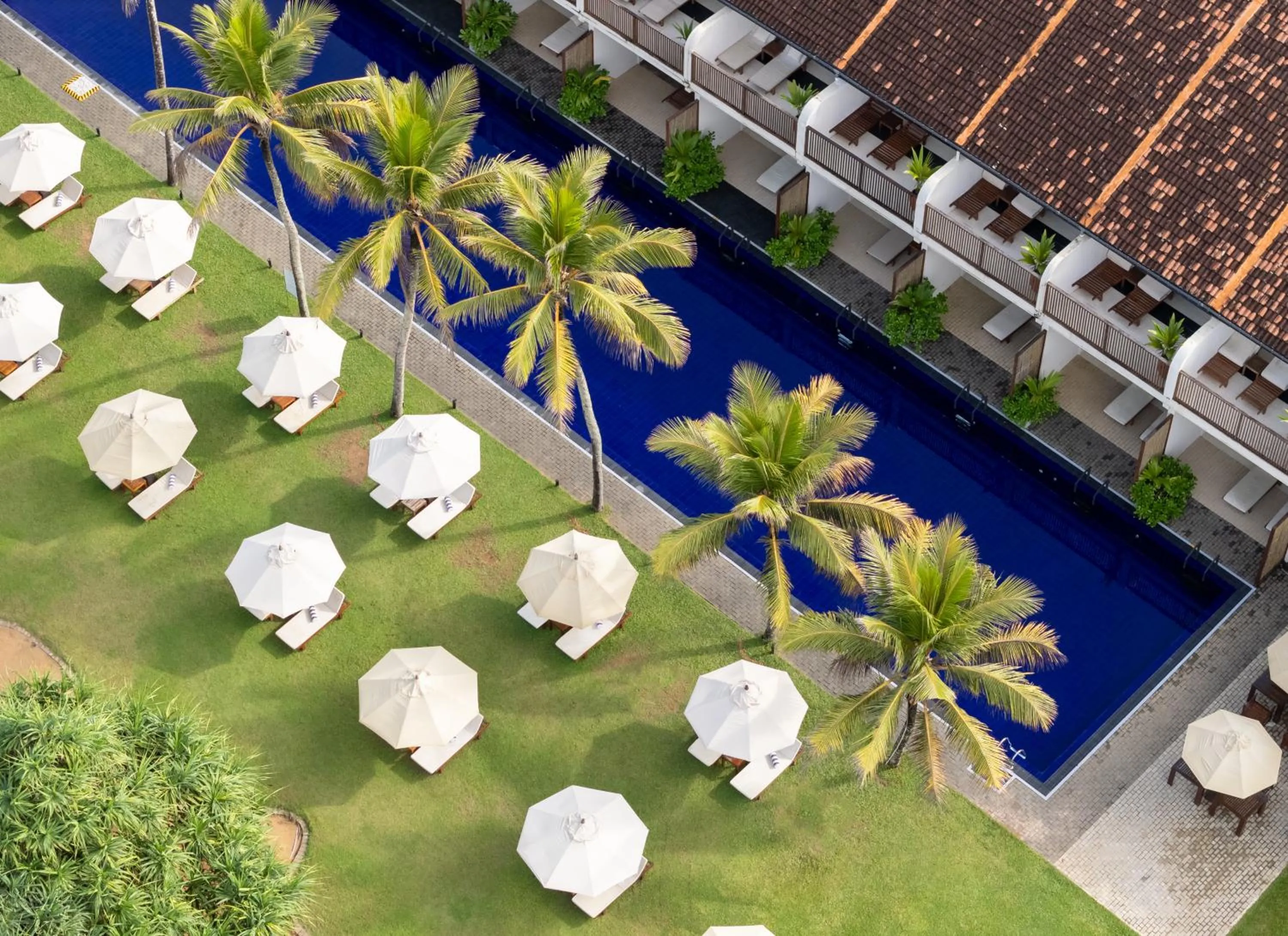 Pool view in EKHO Surf Bentota