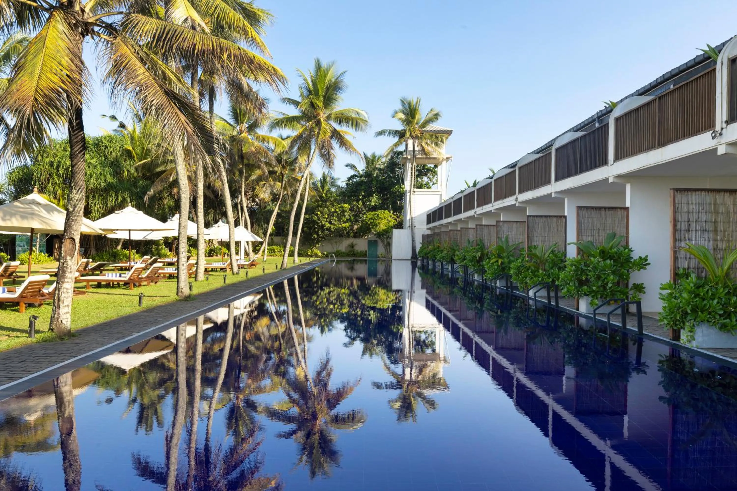 Pool view in EKHO Surf Bentota