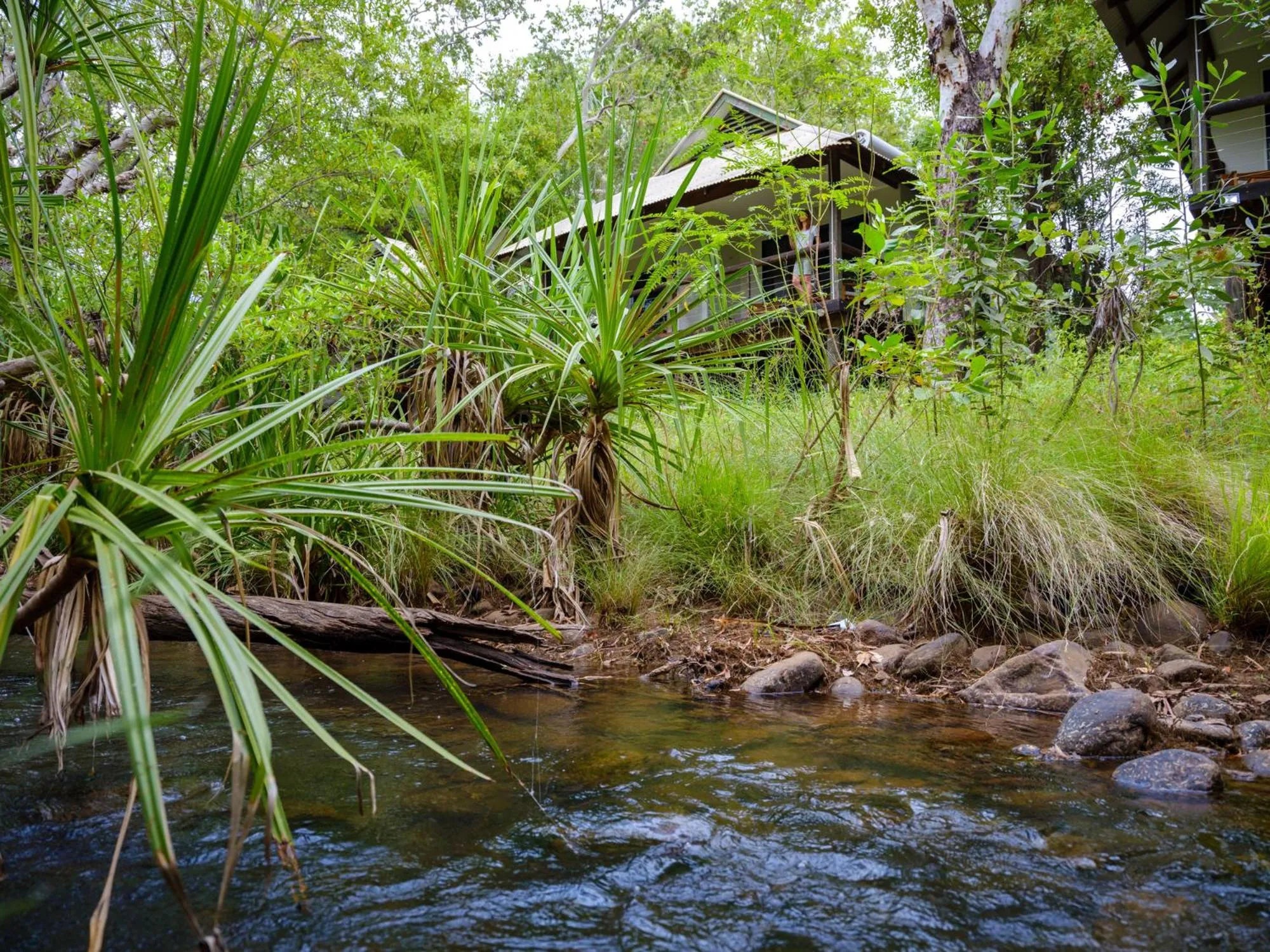 Natural landscape in The Station at El Questro
