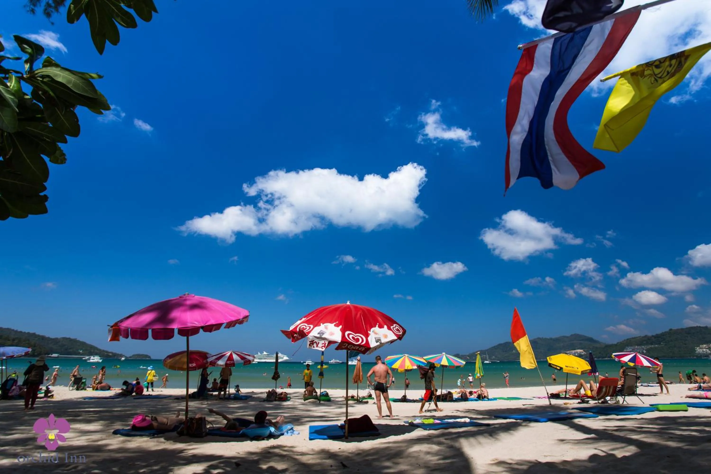 Property building in Grand Orchid Inn Patong beach