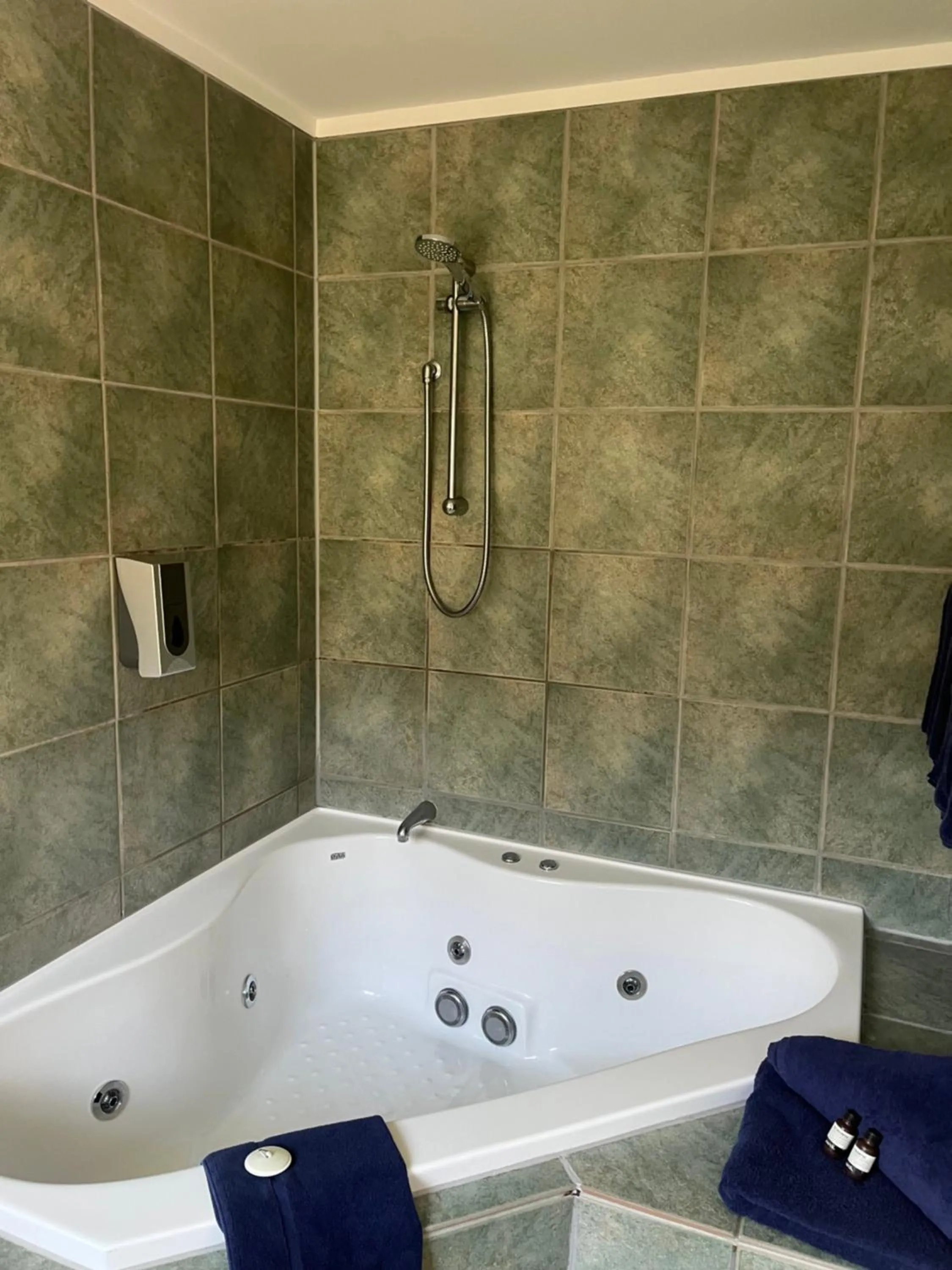 Shower in A'La Vista Motel