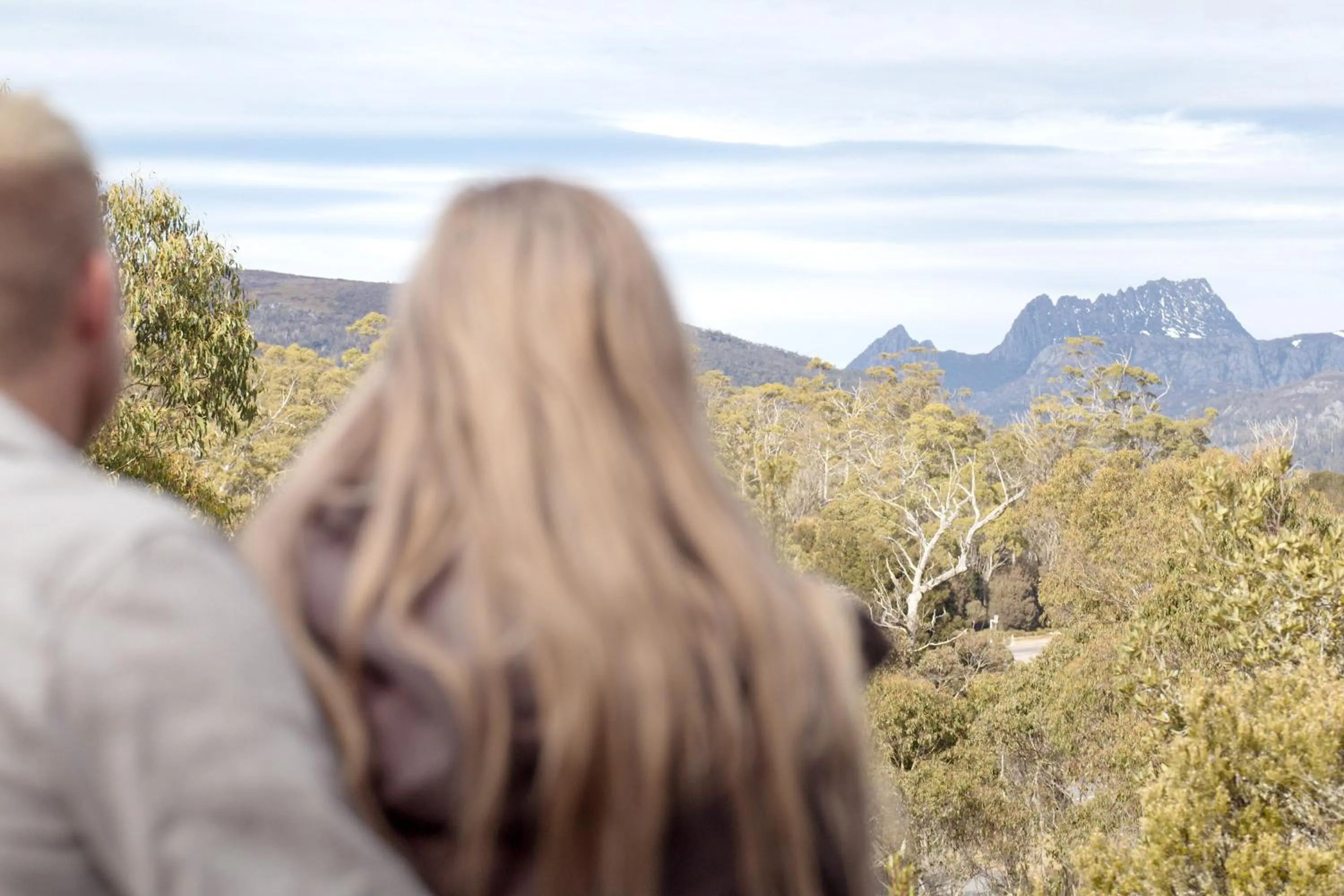 Natural landscape in Cradle Mountain Wilderness Village