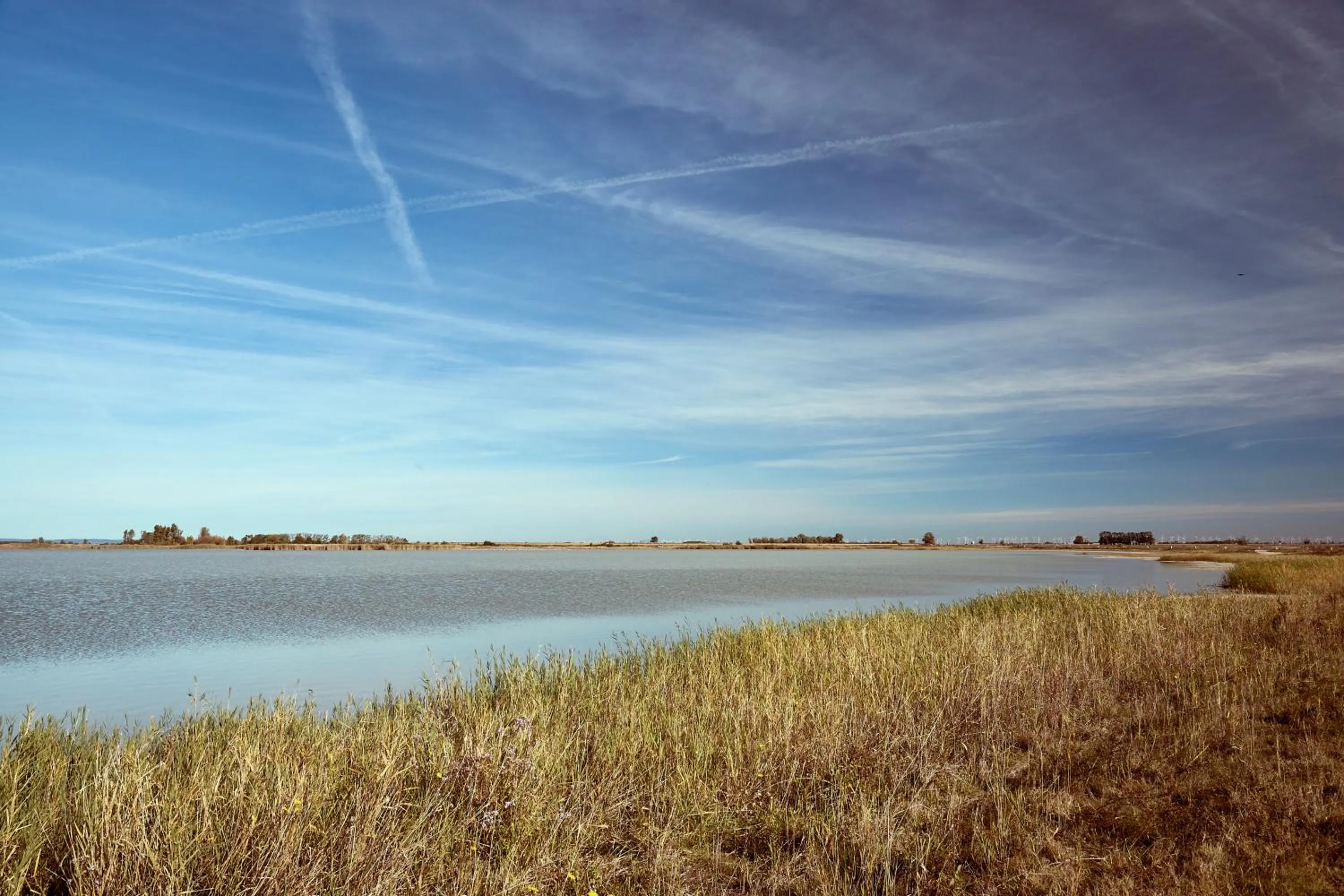 Natural landscape in Residenz Velich