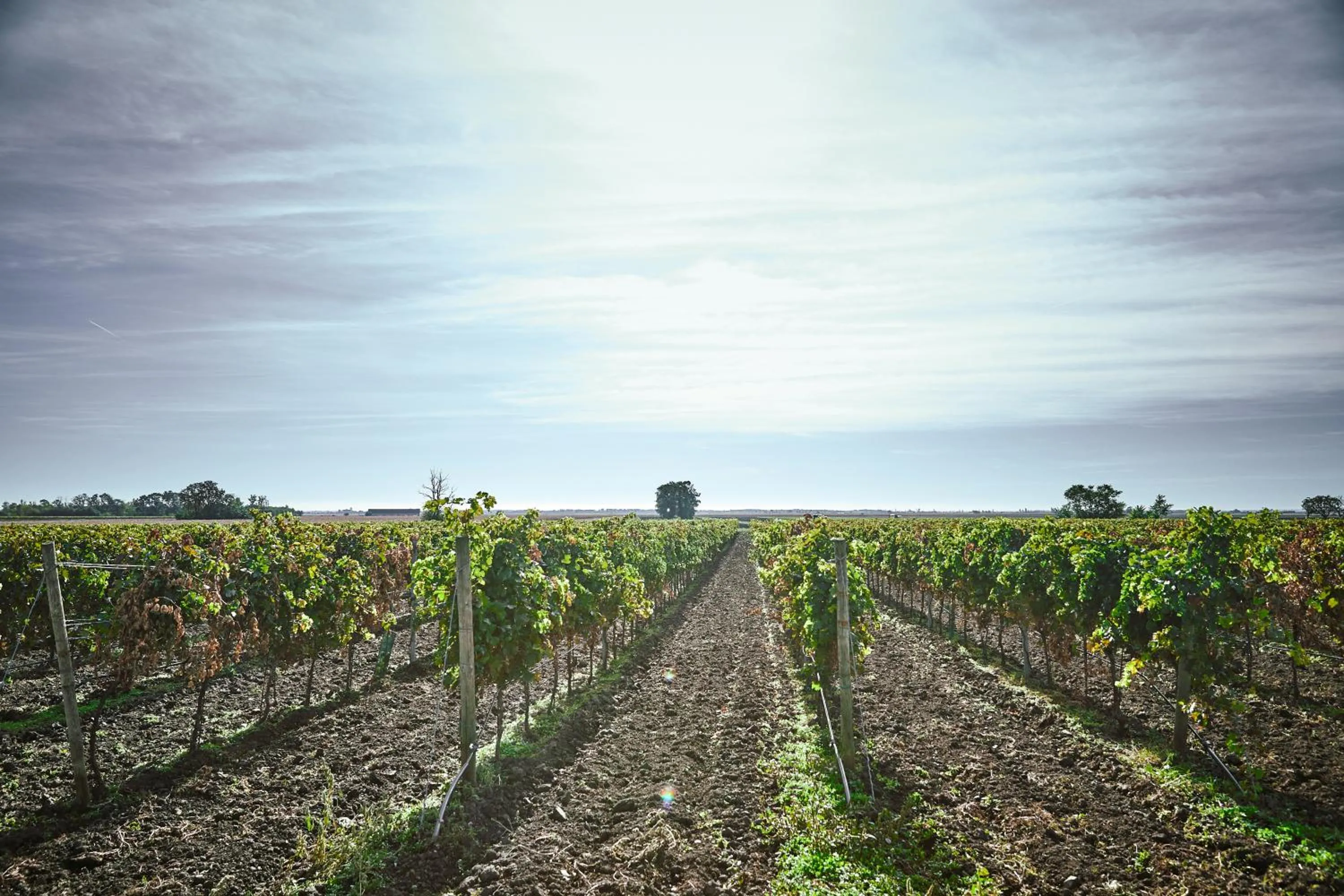 Natural landscape in Residenz Velich