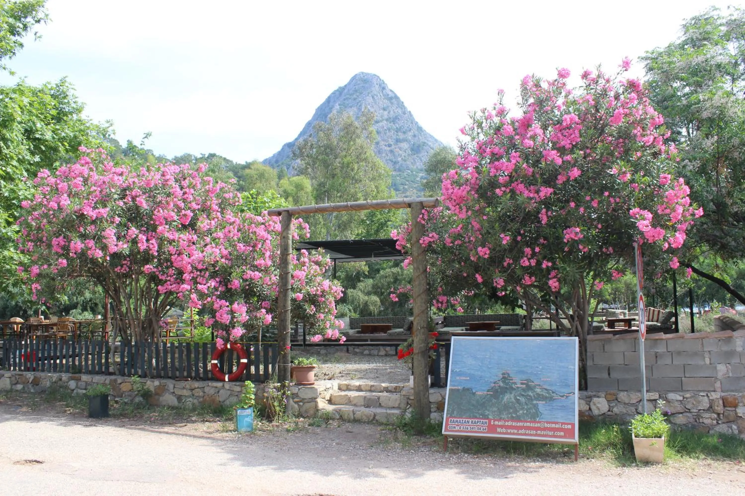 Spring in Duran Bungalow