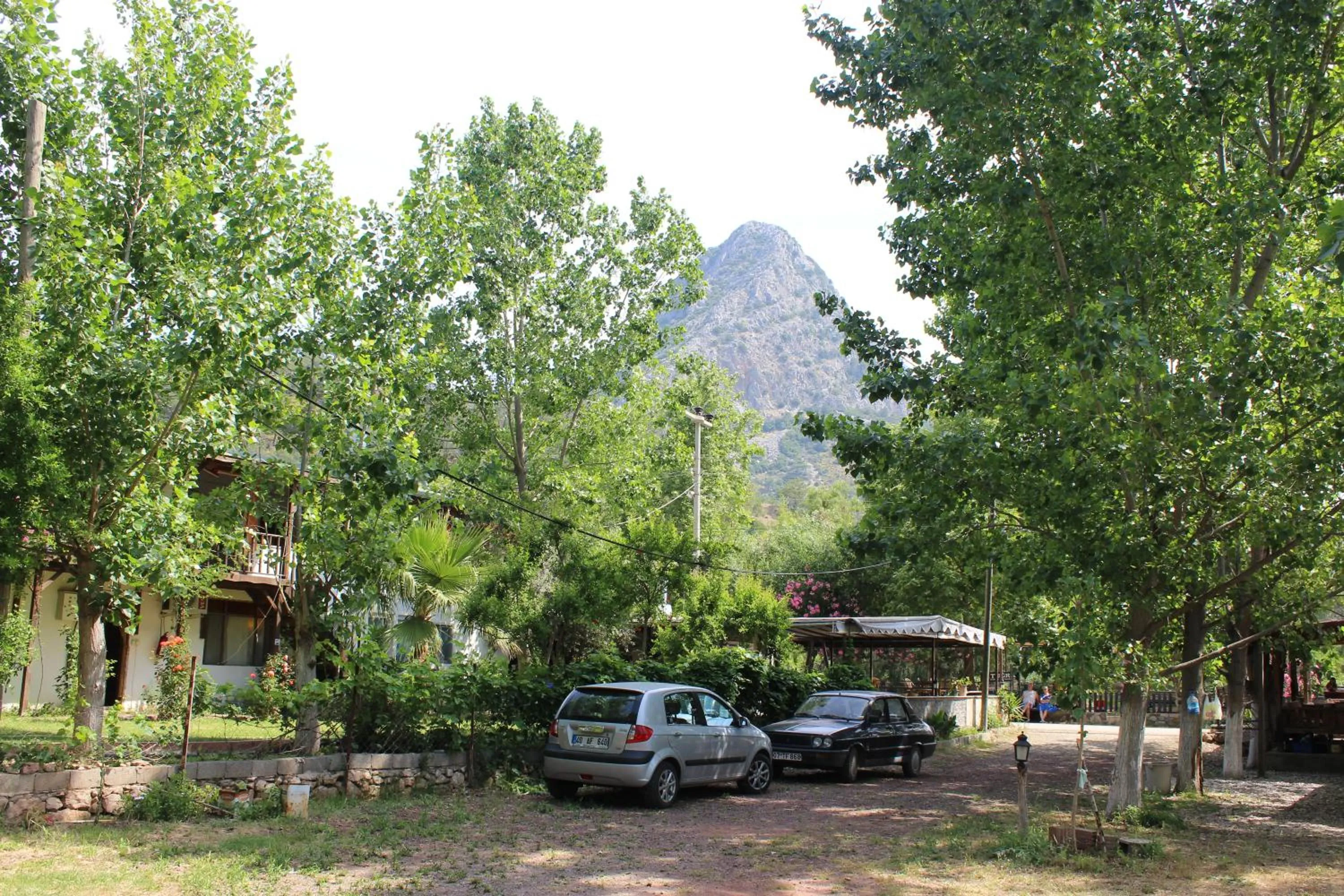 Spring in Duran Bungalow