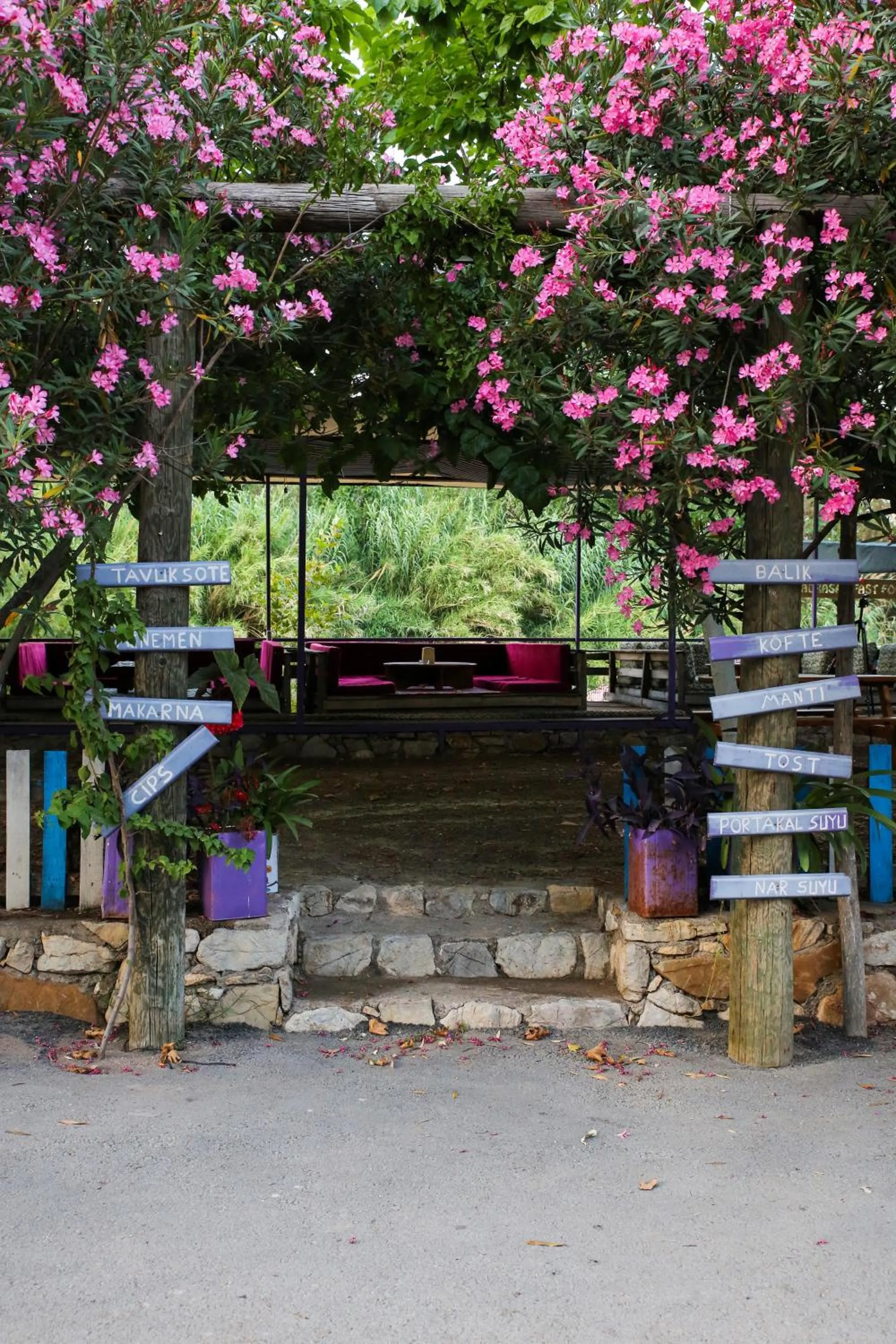 Spring in Duran Bungalow