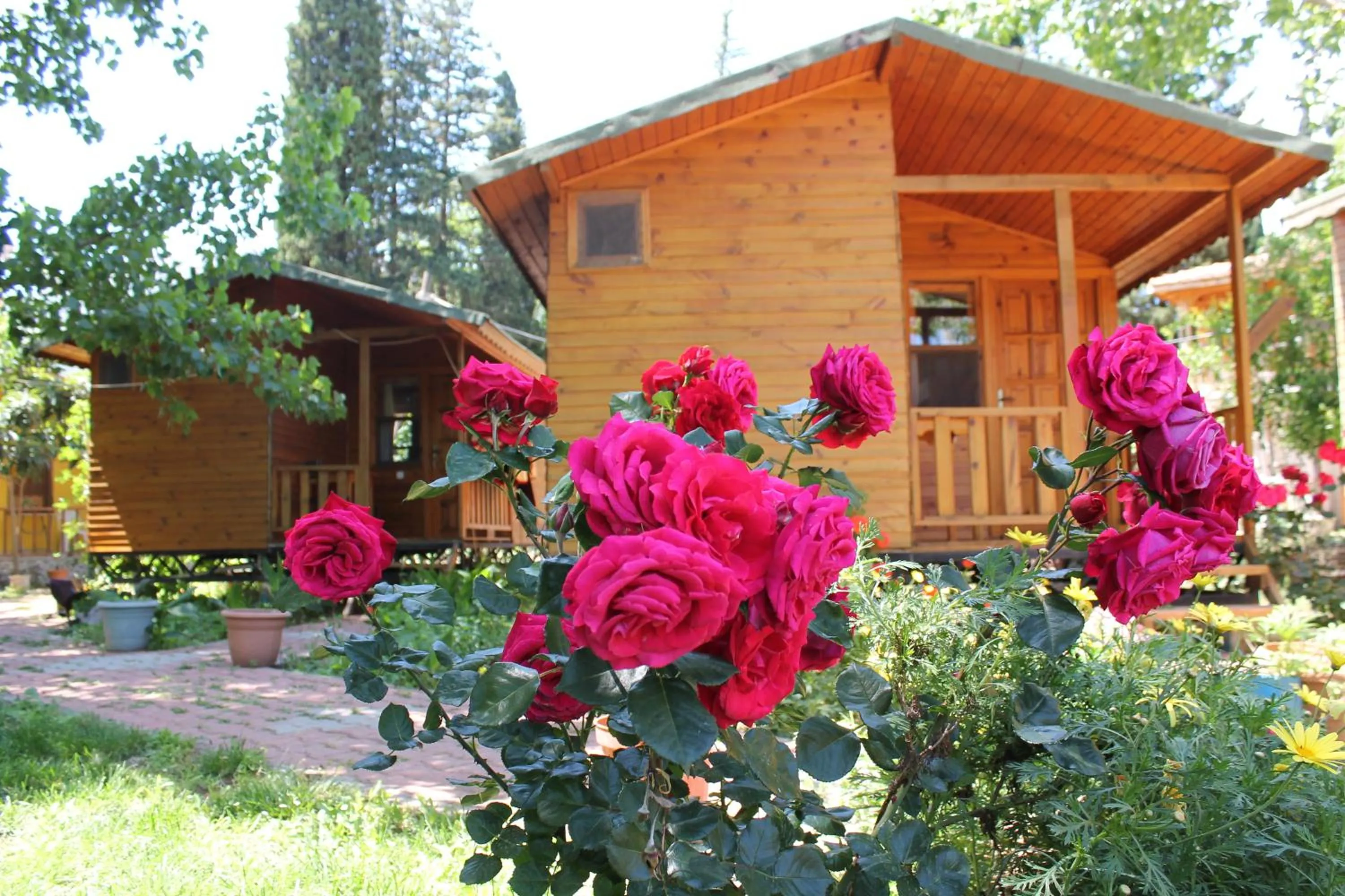 Property building in Duran Bungalow
