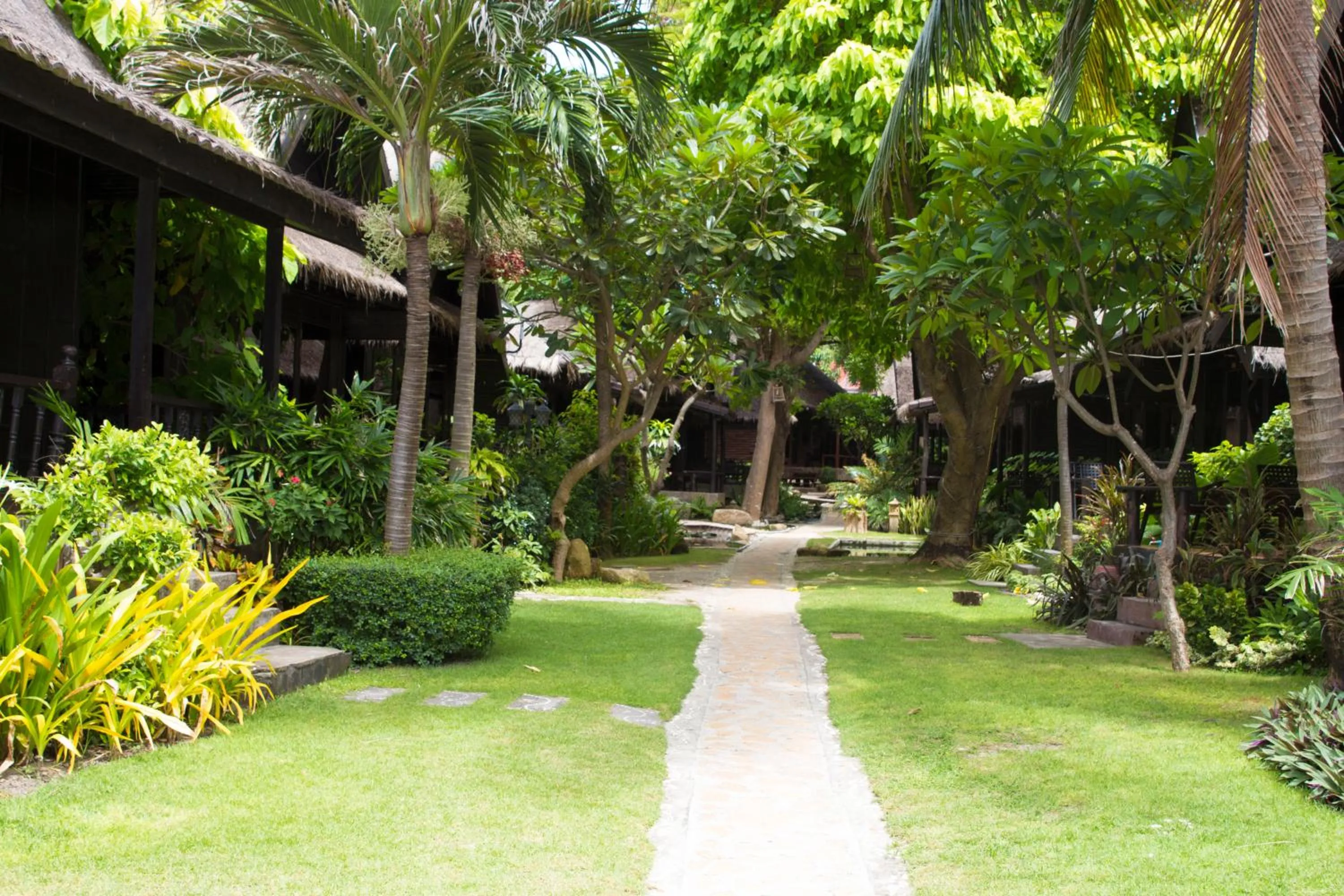 Garden in Tommy Resort