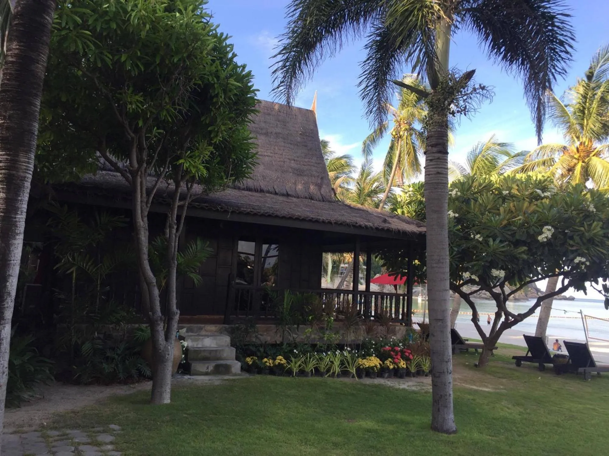 Property building in Tommy Resort