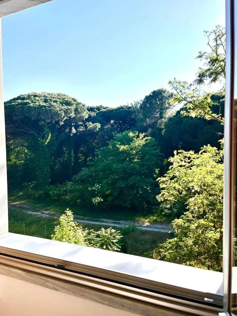 Garden view in Hotel Nazionale