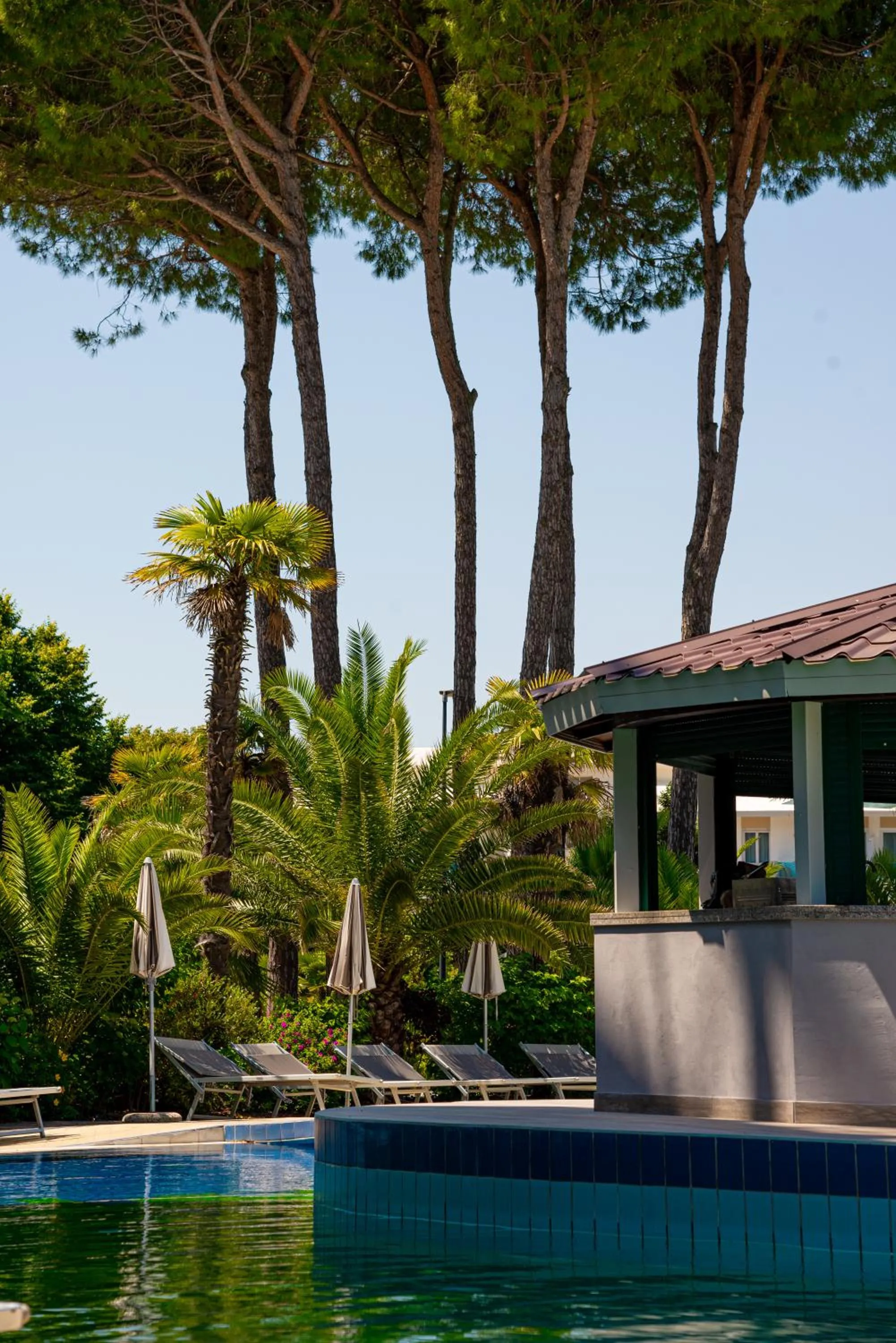 Swimming pool in Mediterranee Family Hotel & Spa