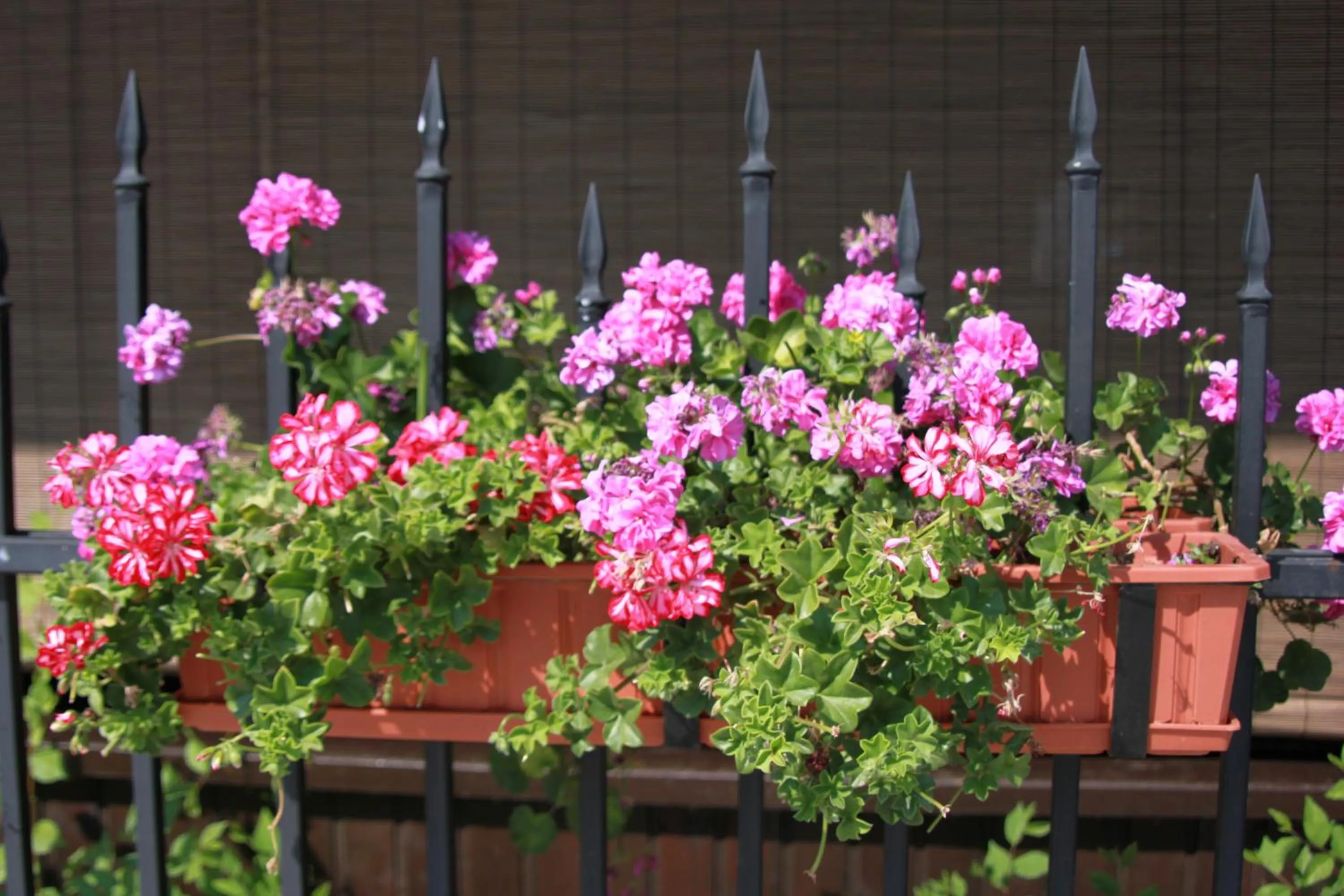 Decorative detail in Hotel LaCetate