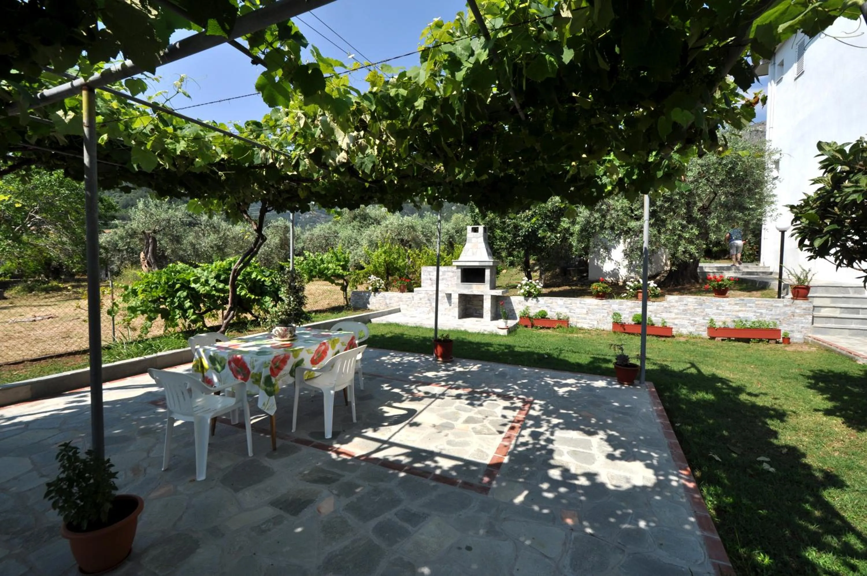 Patio in House Elena