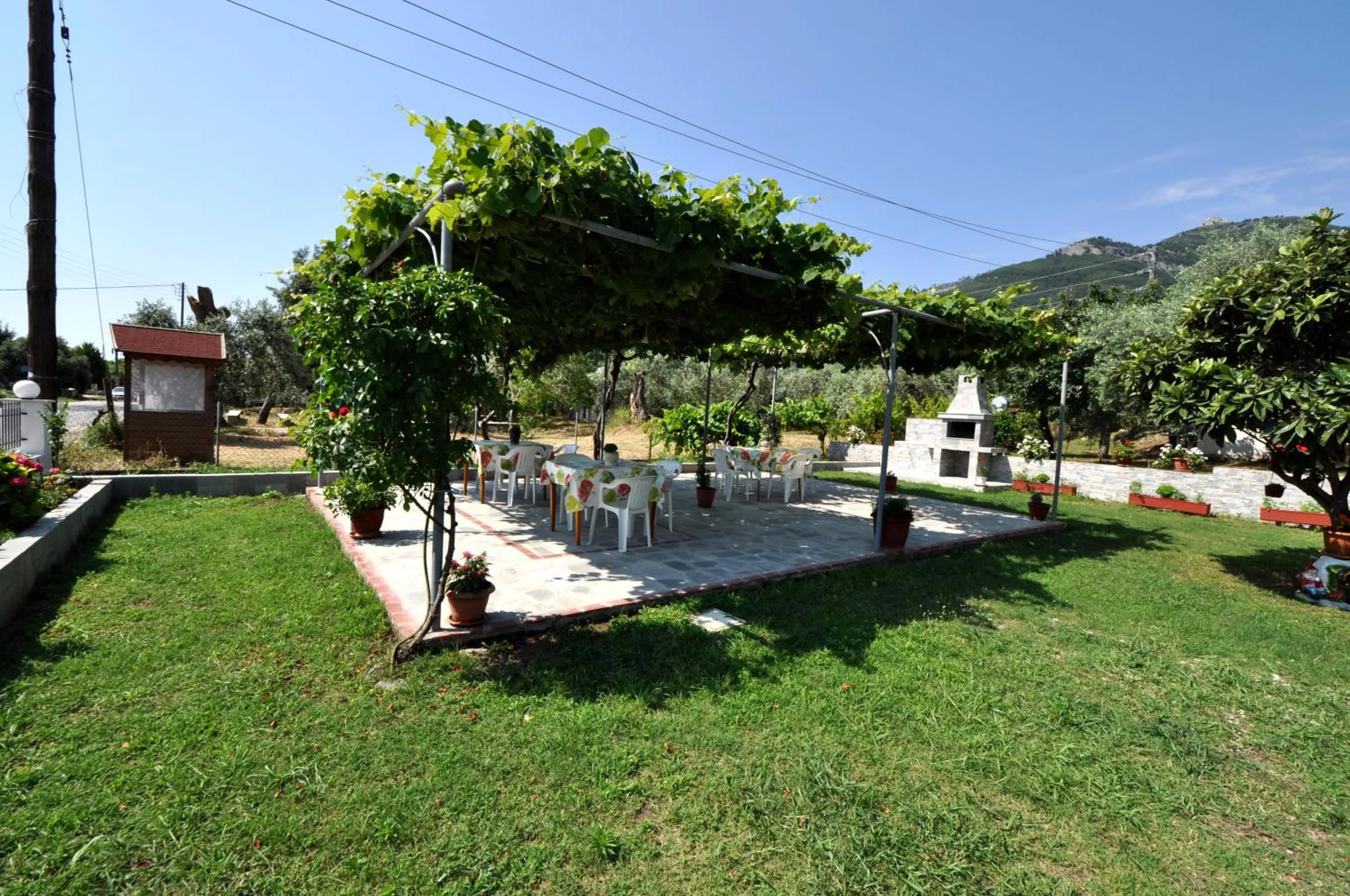 Patio in House Elena