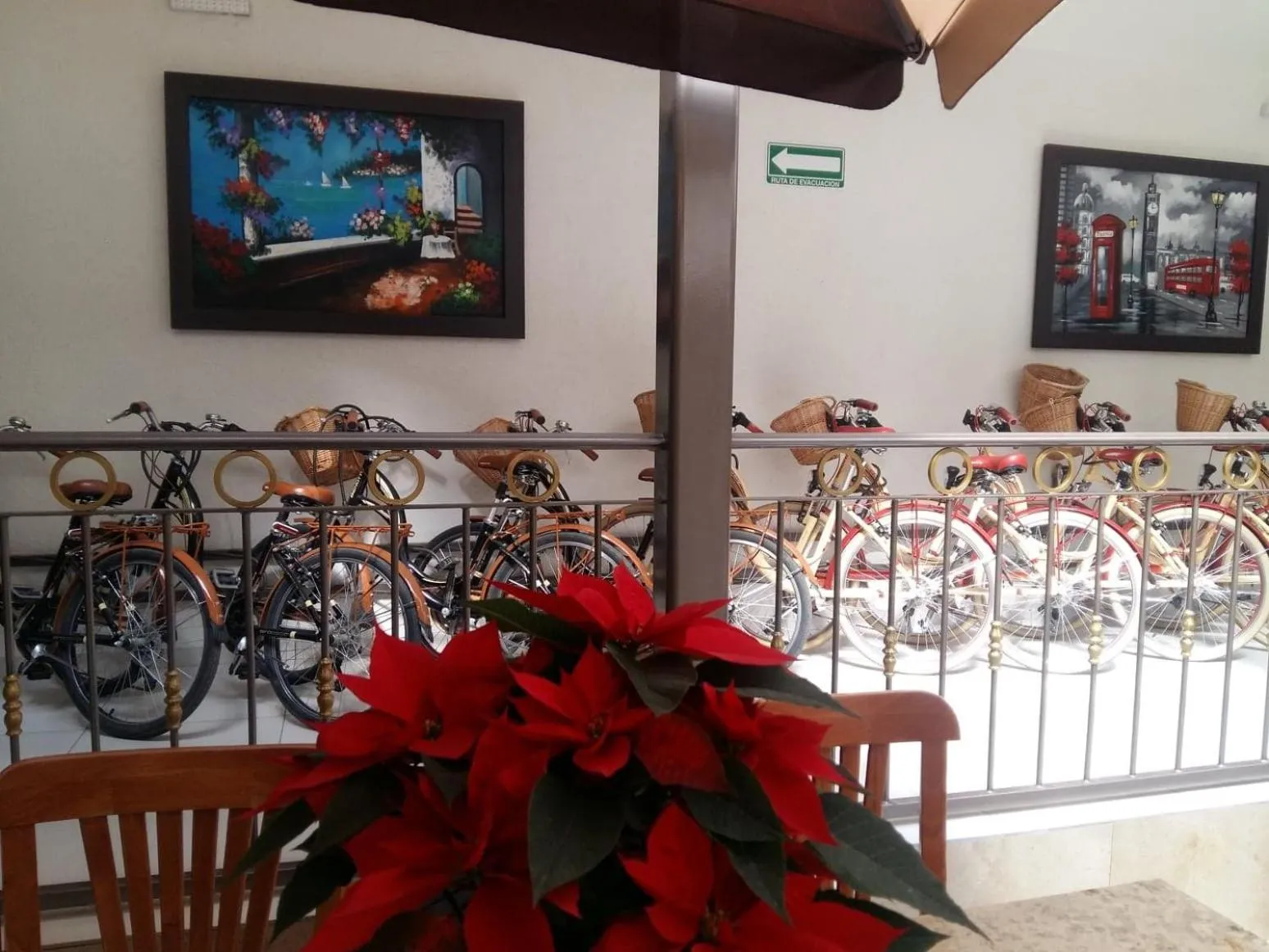 Cycling in Hotel SanJo