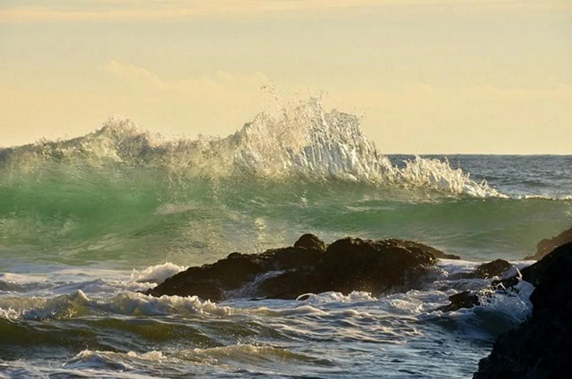 Decorative detail in Hotel Atlantique