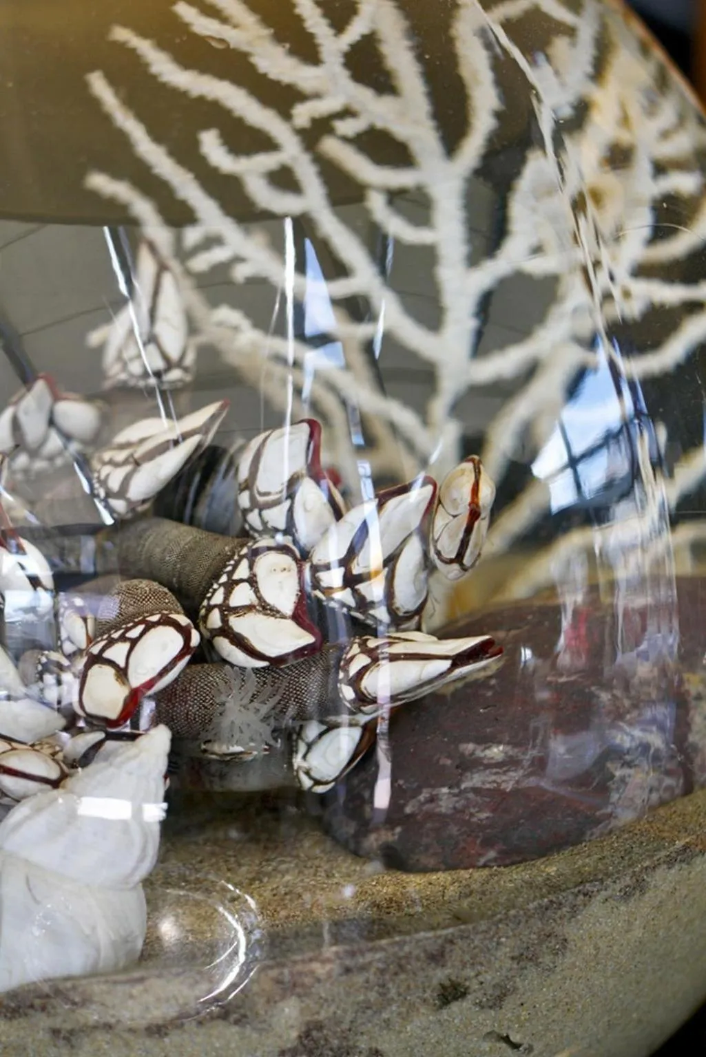 Decorative detail in Hotel Atlantique