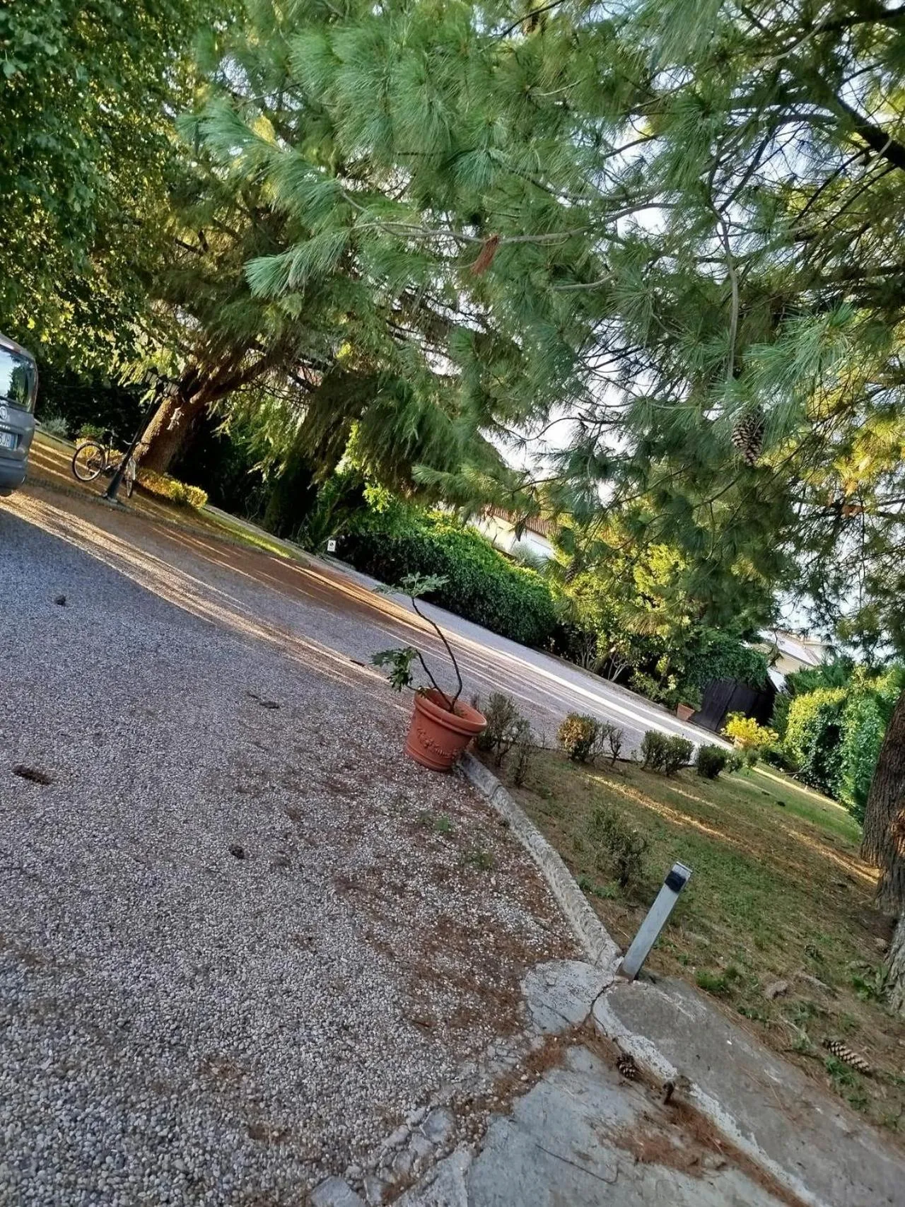 Garden in Hotel La Selce