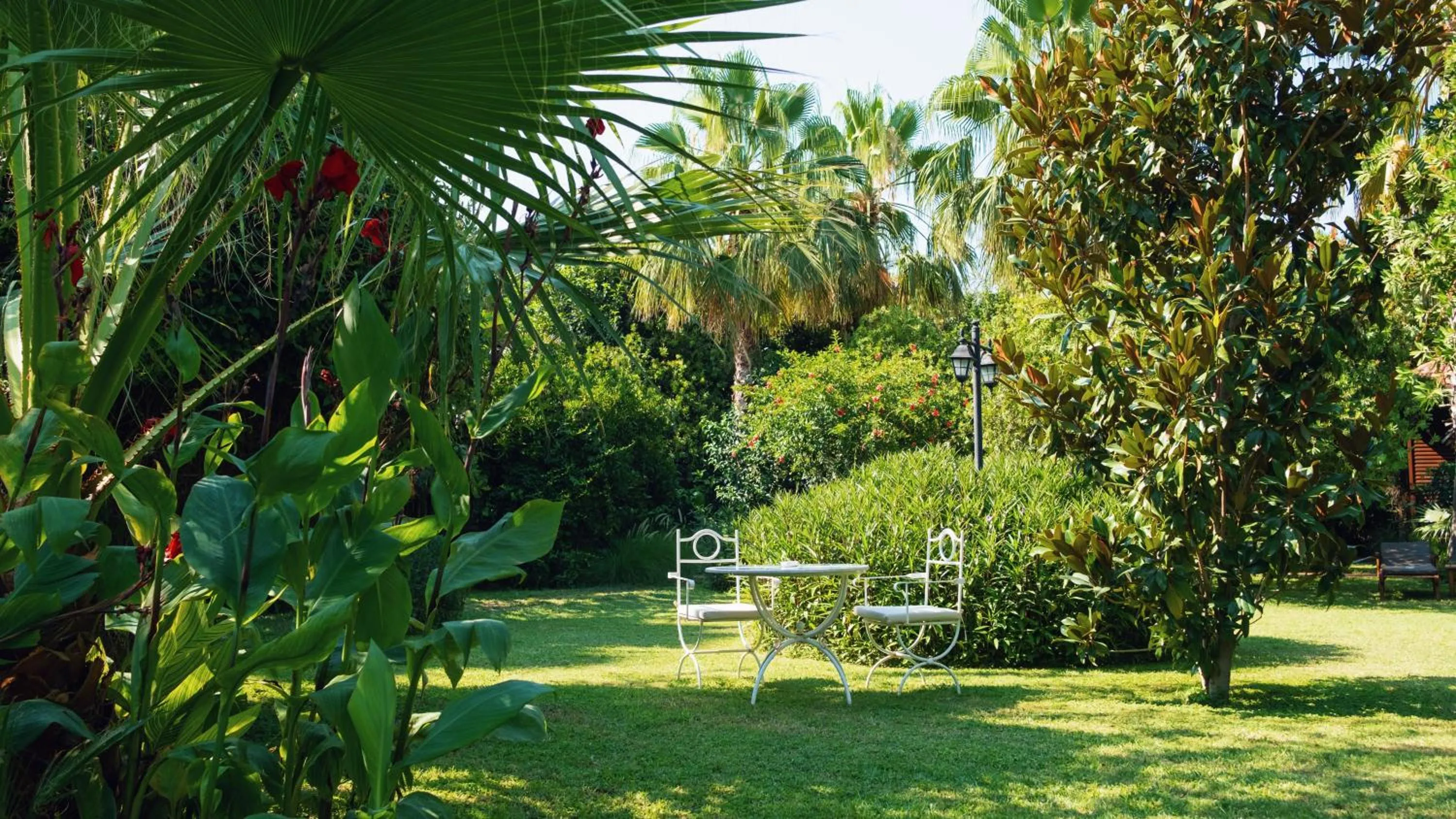 Garden in Villa Lukka
