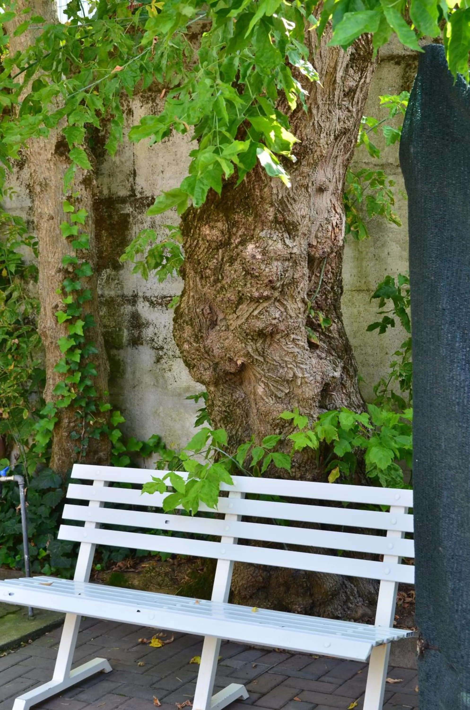 Other in Hotel Casa Mia