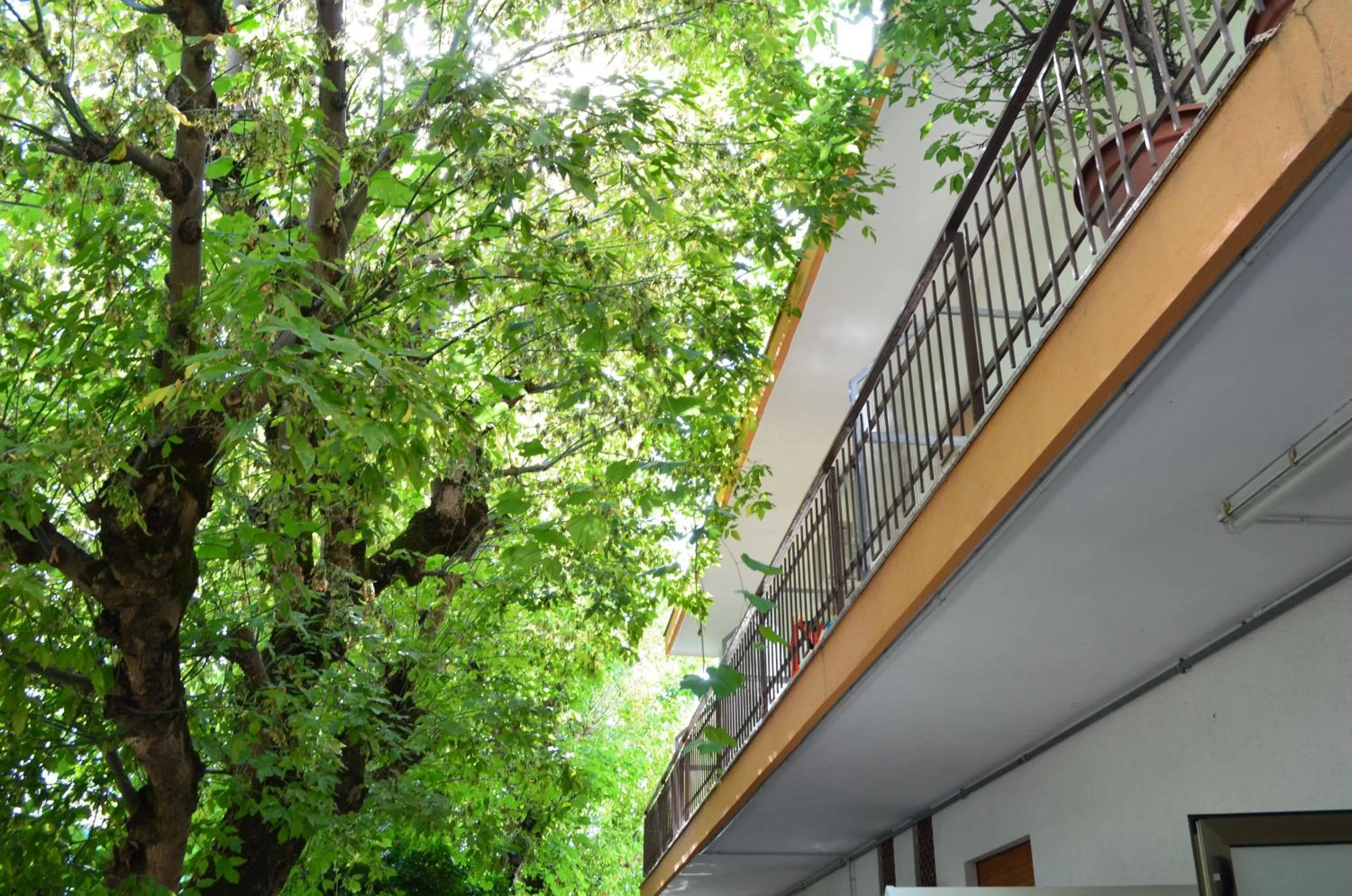 Property building in Hotel Casa Mia