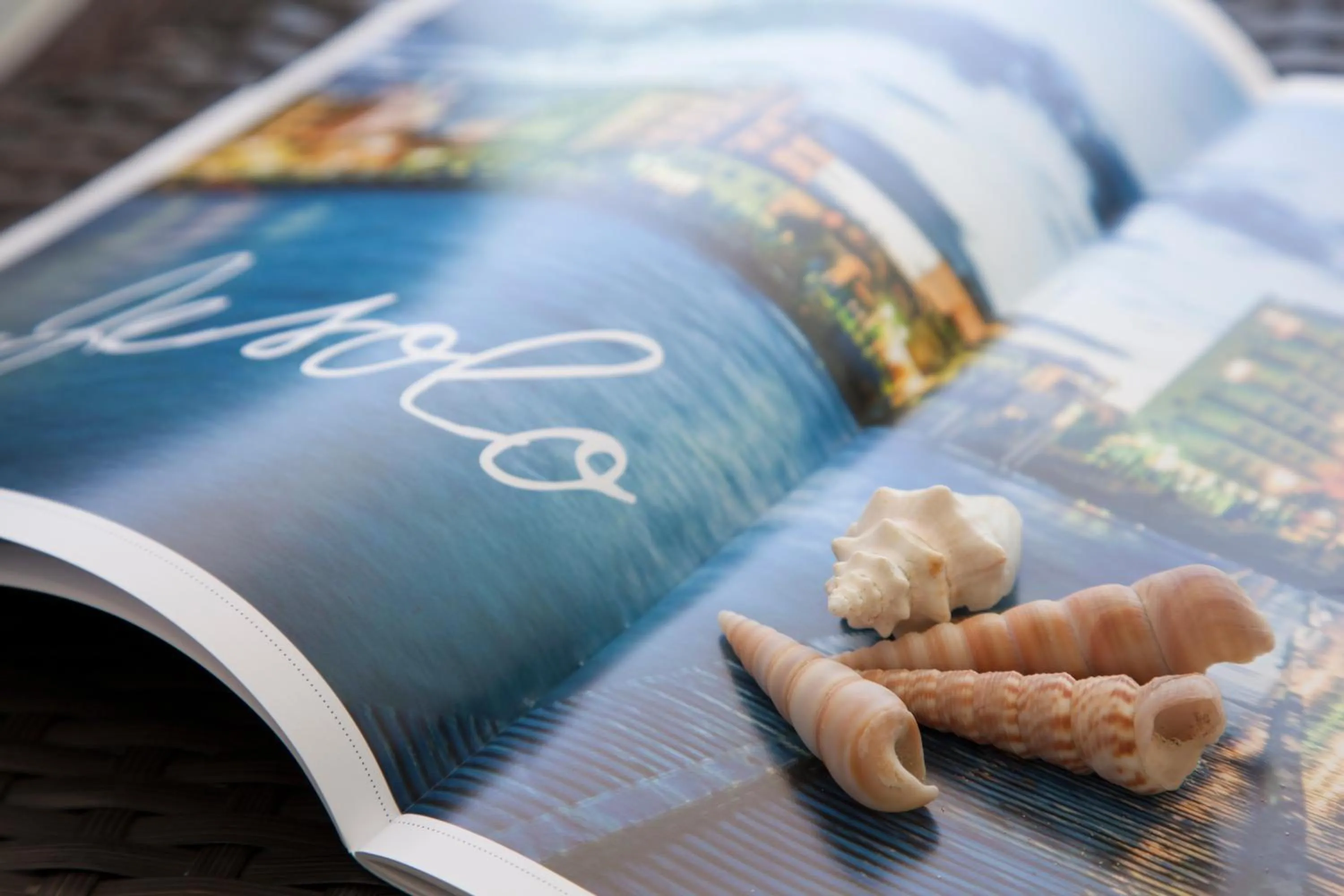 Other in Hotel Orizzonte