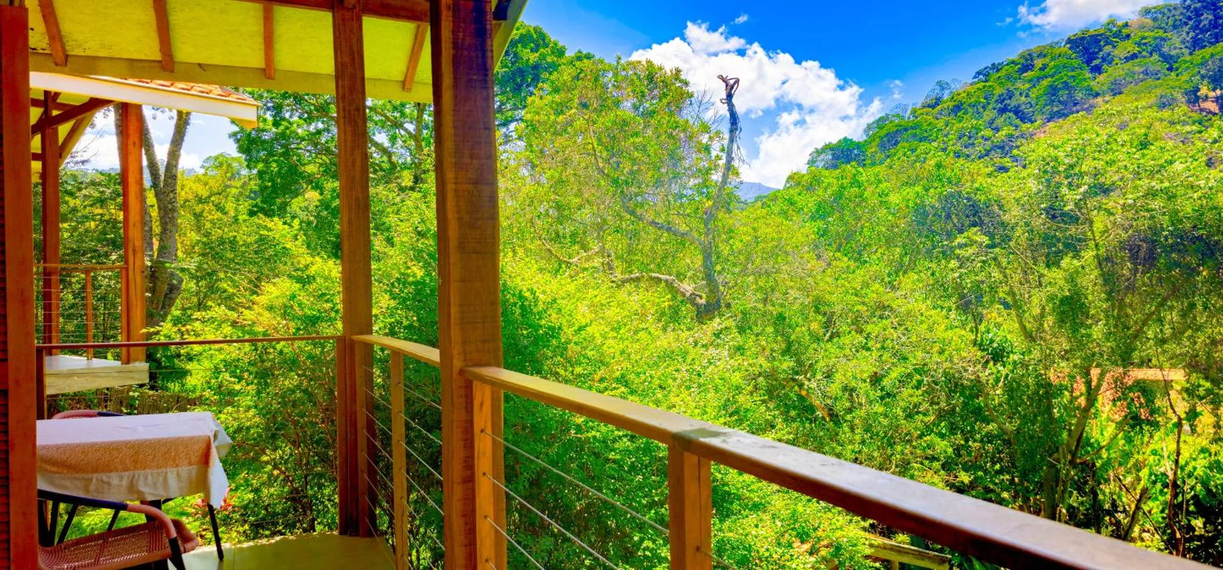 View (from property/room) in Cores e Flores da Serra Pousada by Concavus