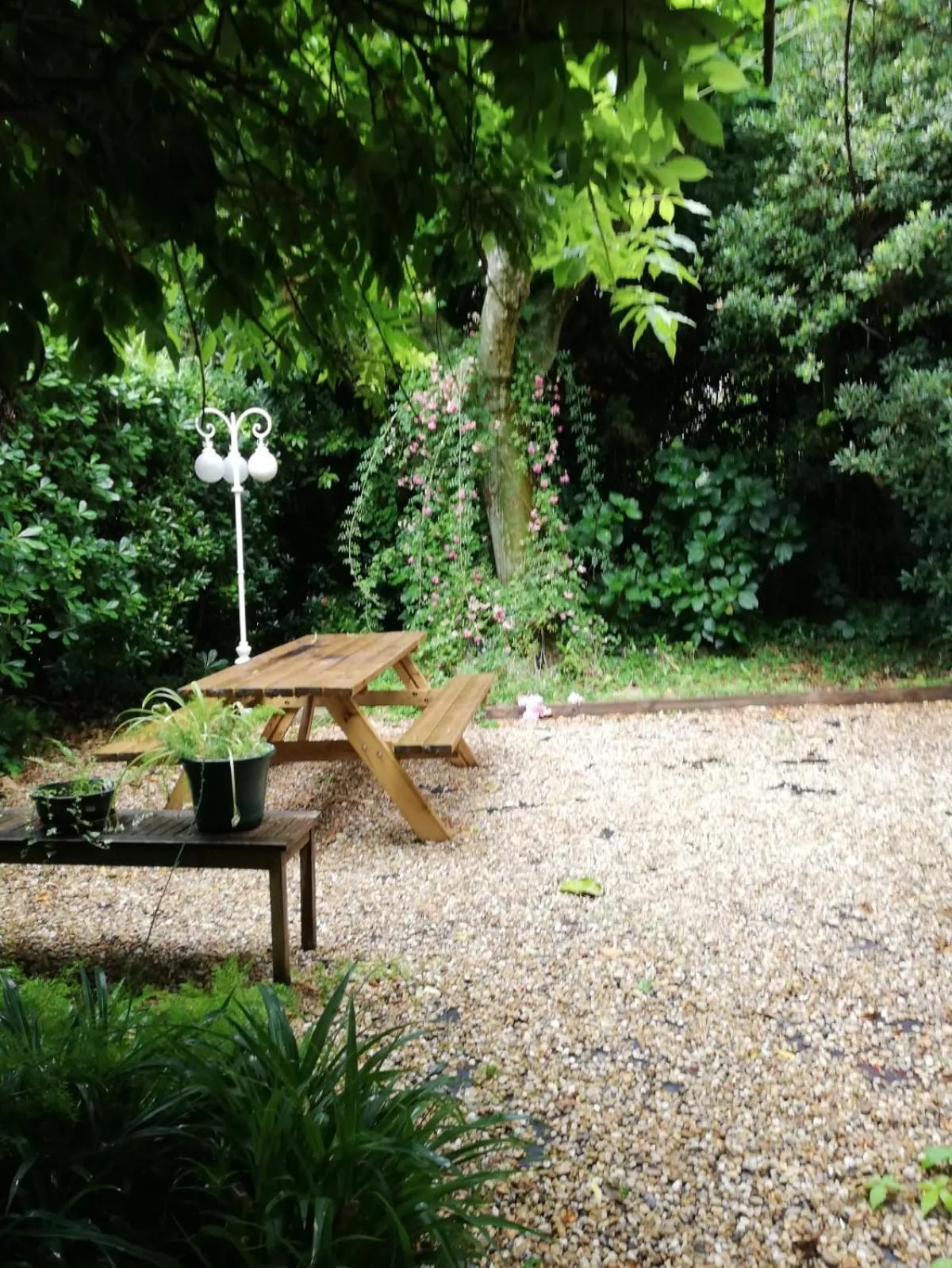 Garden in Saint Charles Hôtel &amp; Coliving Biarritz
