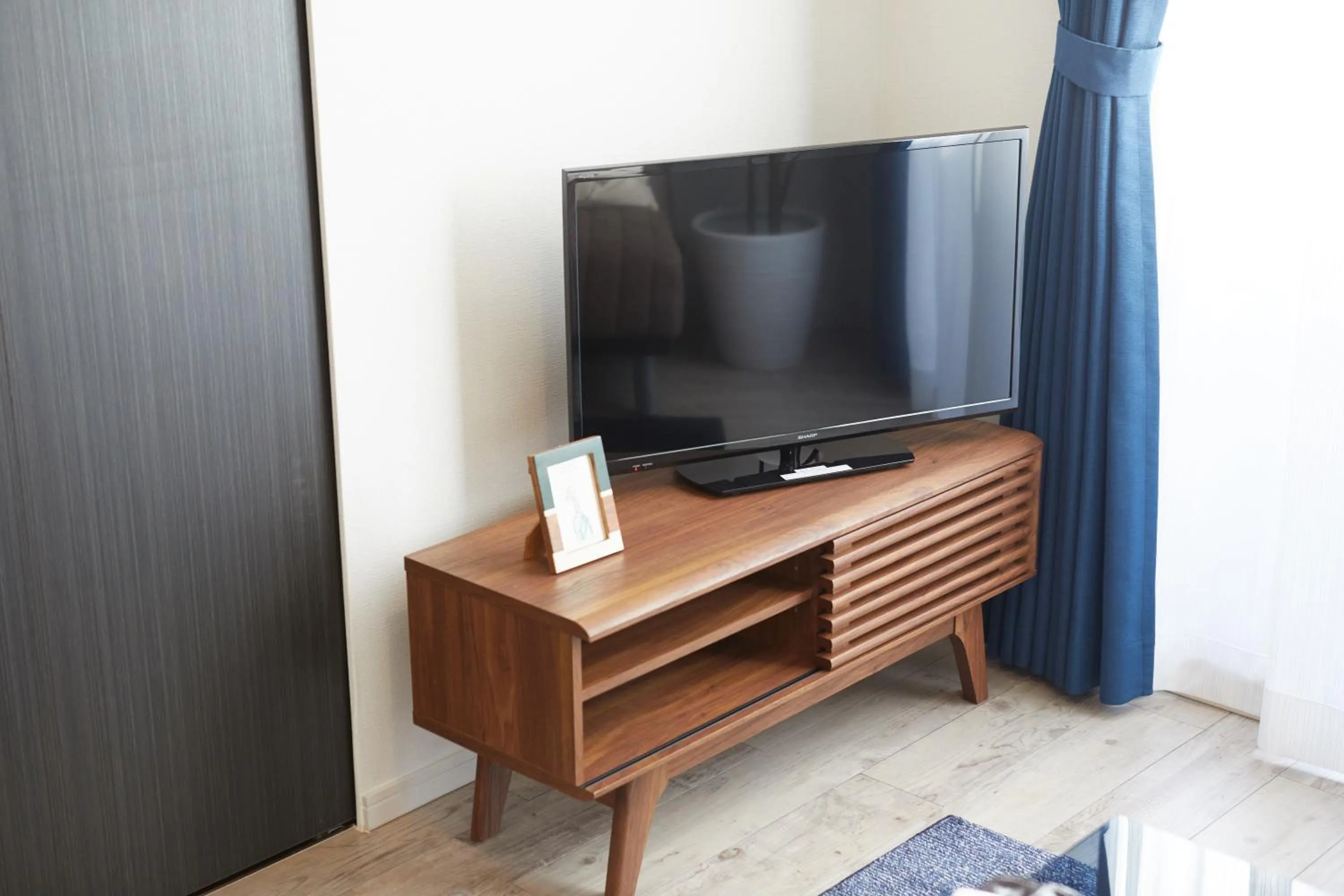 TV and multimedia in Forestay Shinsaibashi