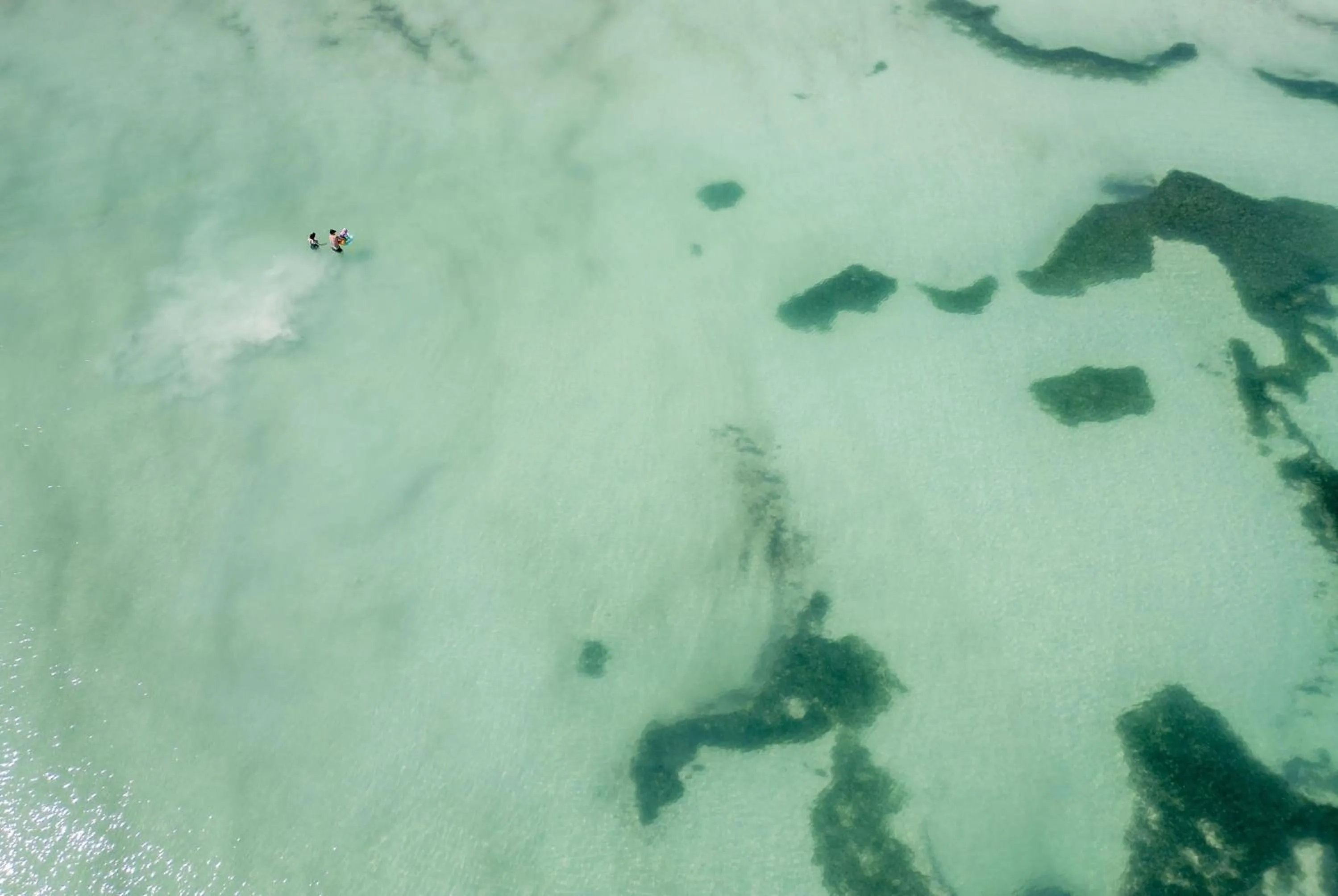 Other in Wyndham Alltra Samana All Inclusive Resort