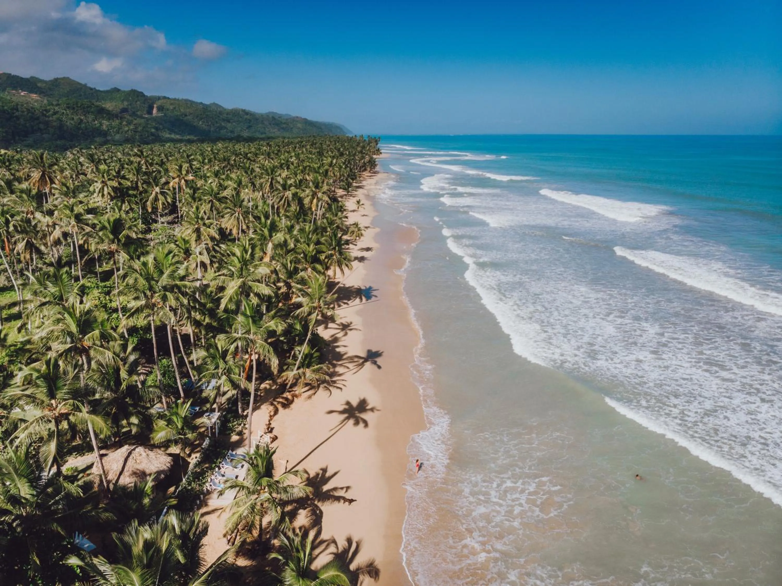 Natural landscape in Wyndham Alltra Samana All Inclusive Resort