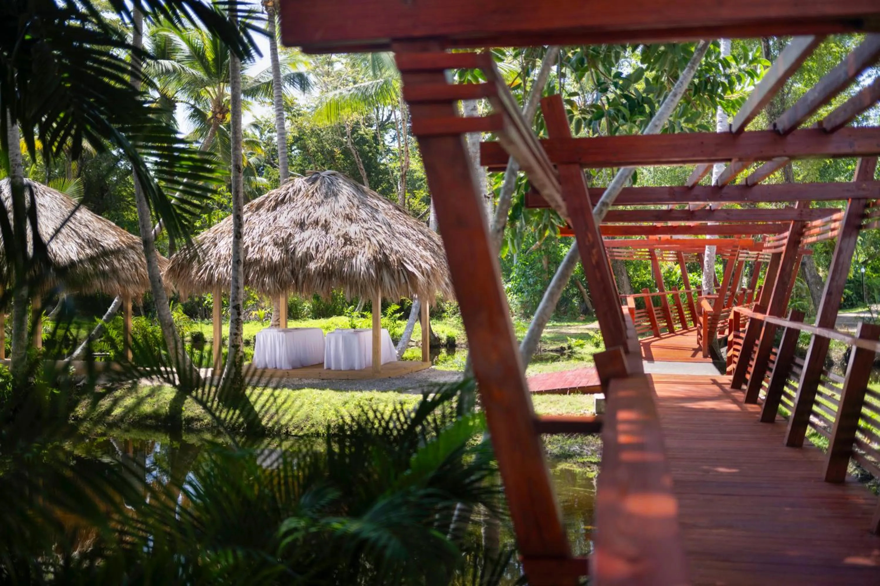 Garden in Wyndham Alltra Samana All Inclusive Resort