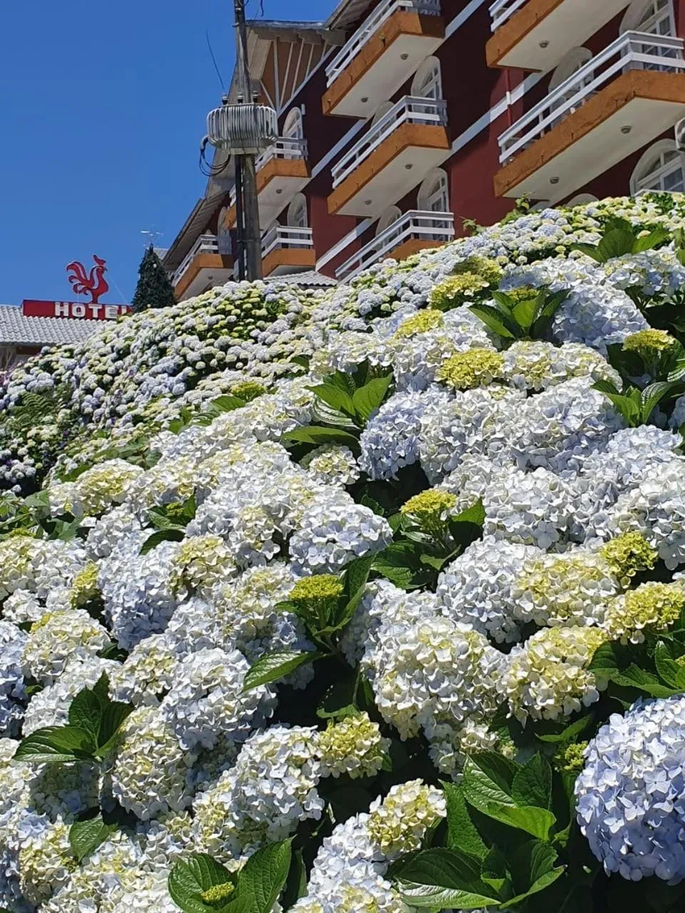 View (from property/room) in Hotel Galo Vermelho