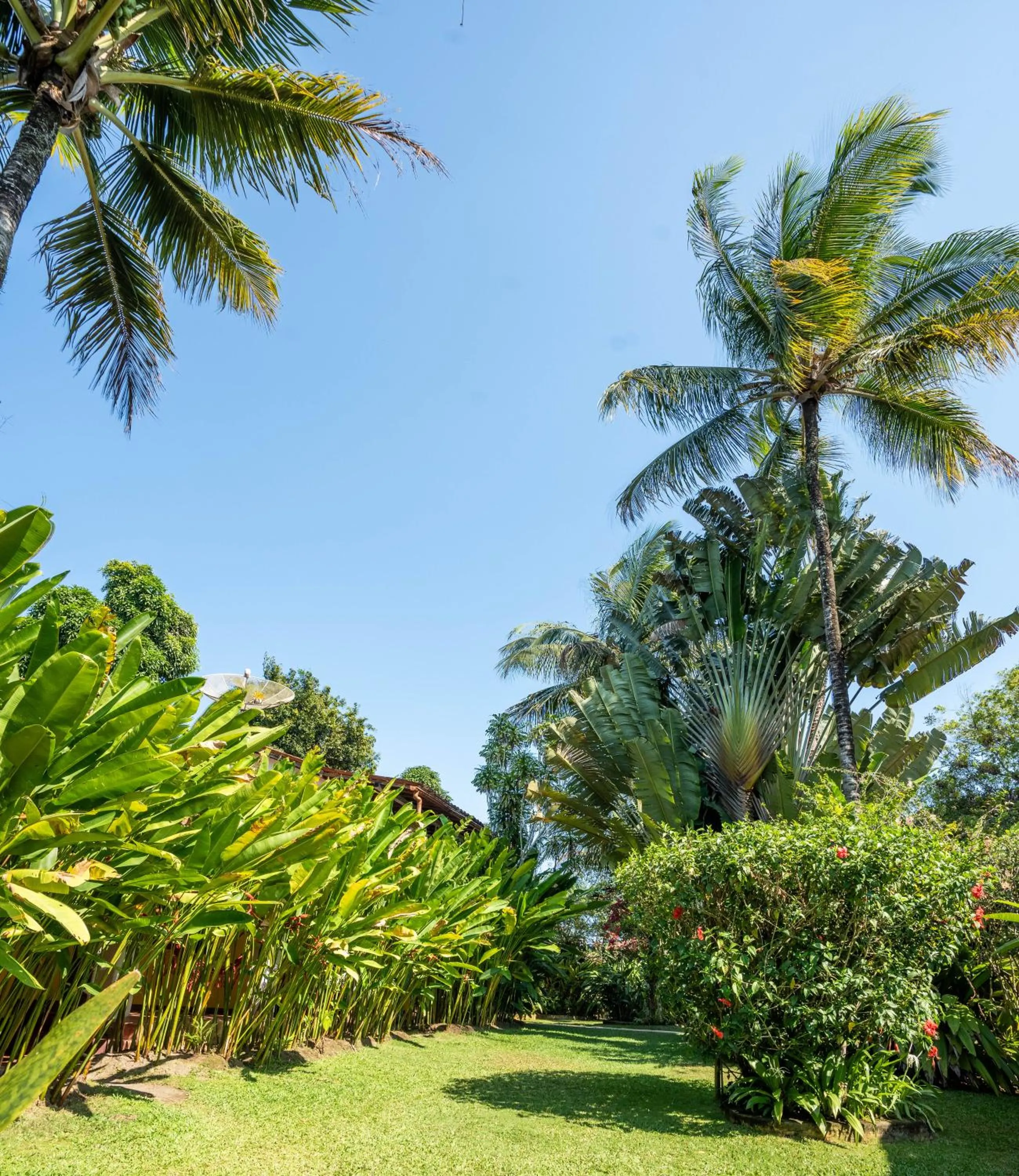 Garden in Pousada Jardim Das Margaridas
