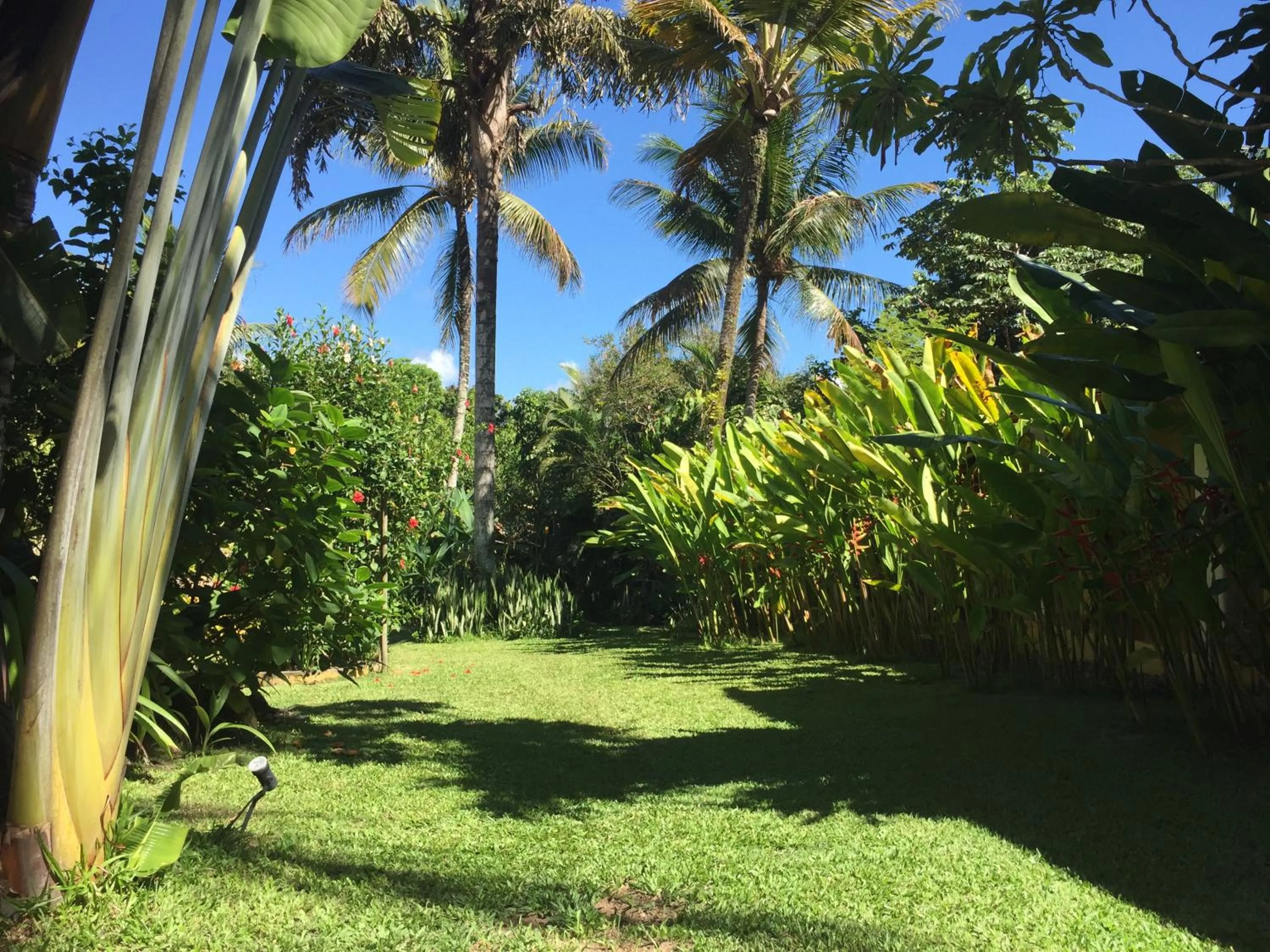 Garden in Pousada Jardim Das Margaridas