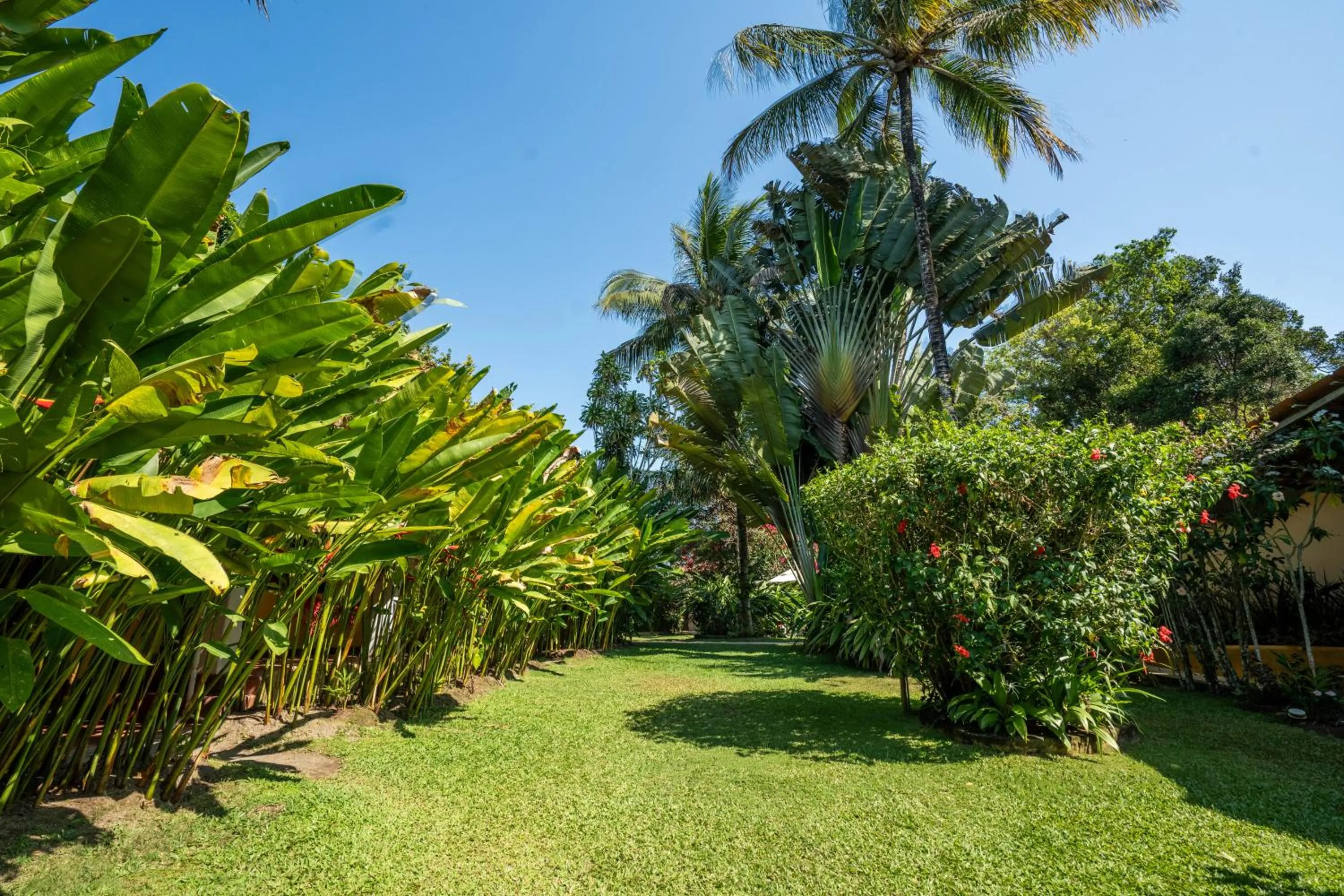 Garden in Pousada Jardim Das Margaridas
