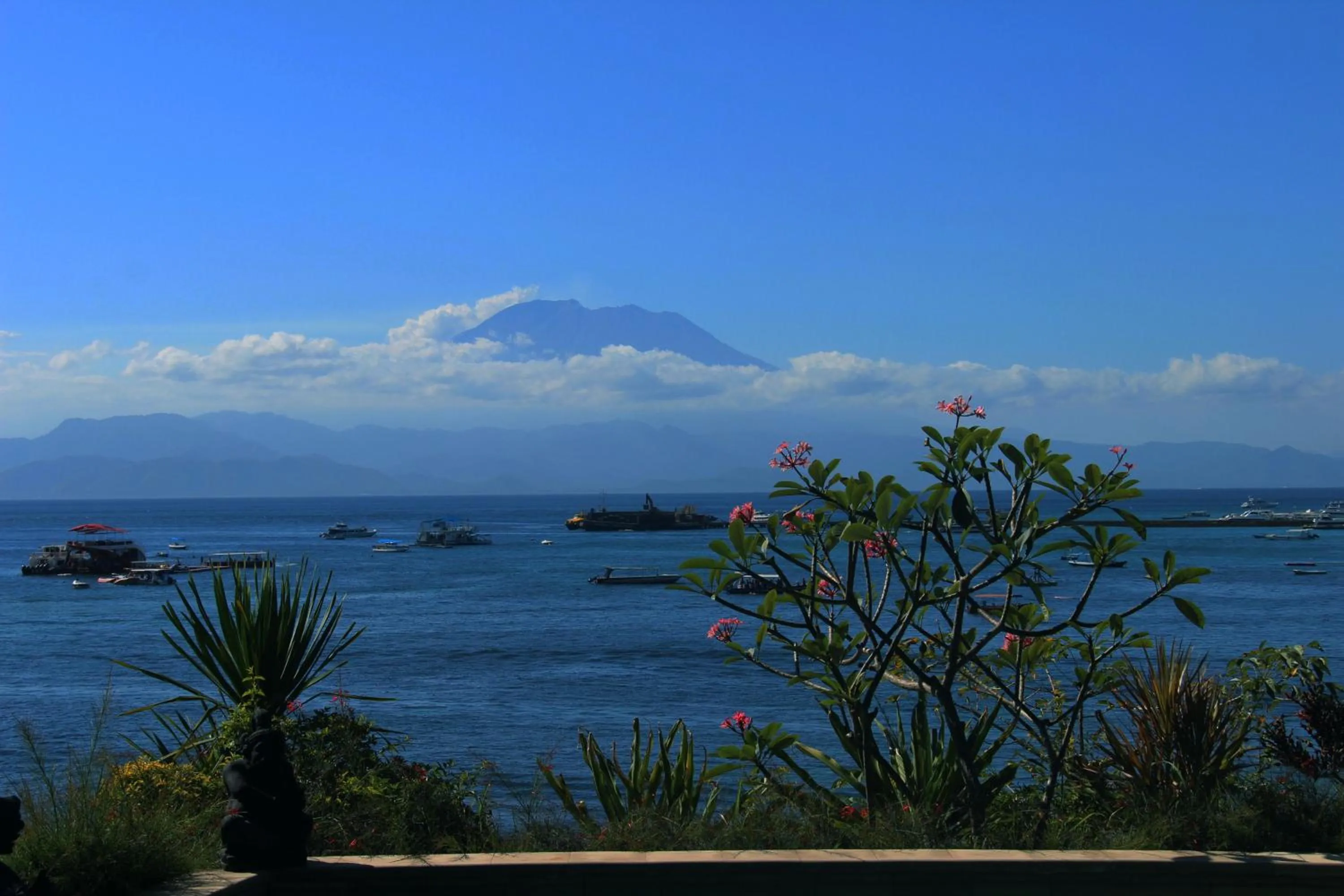 Natural landscape in Agung View Villa, Nusa Penida