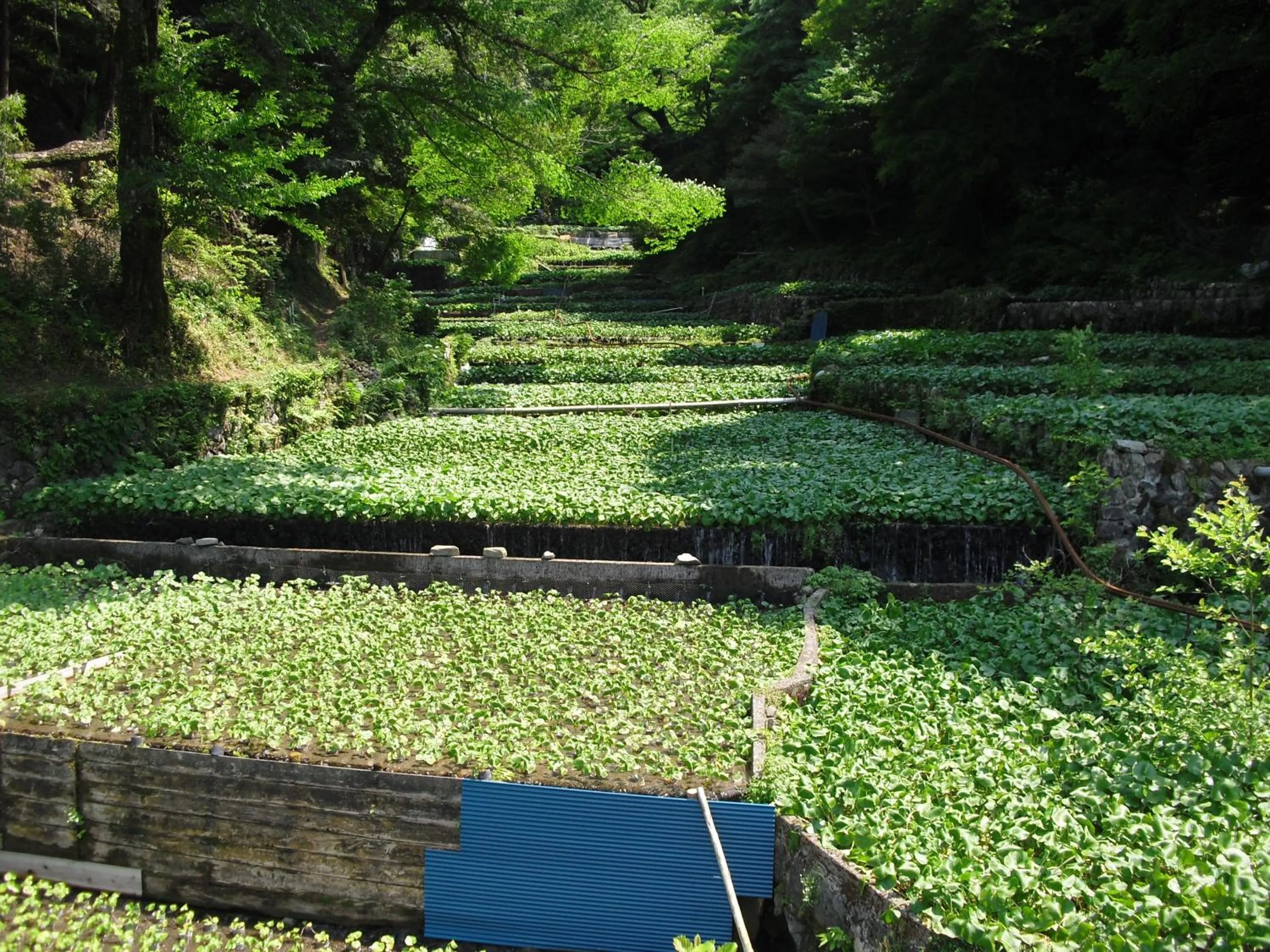 Nearby landmark in Seizan Yamato