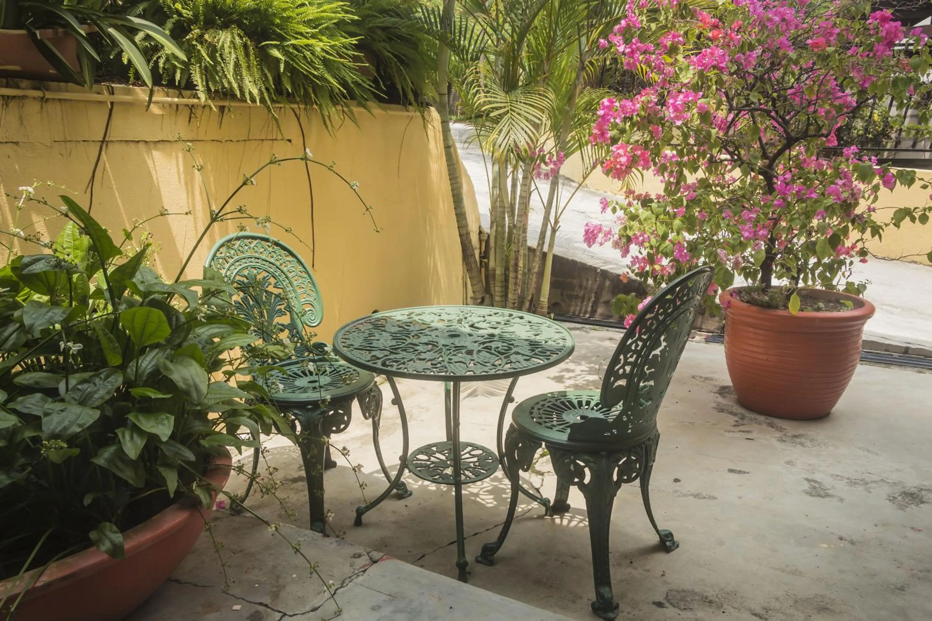 Garden view in Anggerik Lodging