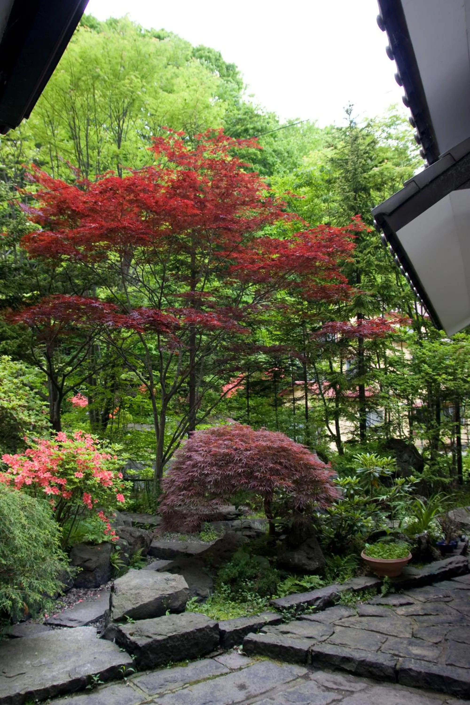 Garden in Oyado Kiyomizuya